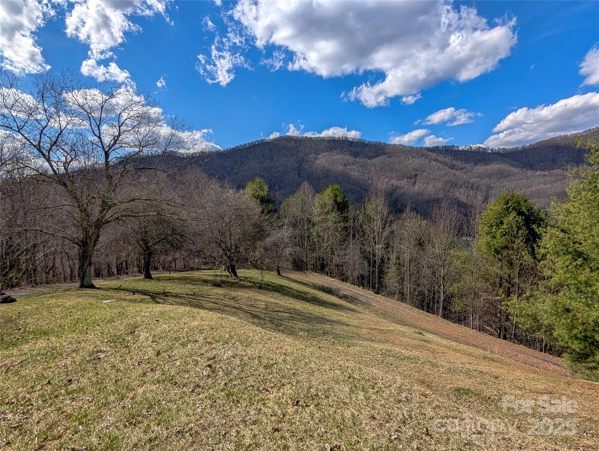main property photo 44