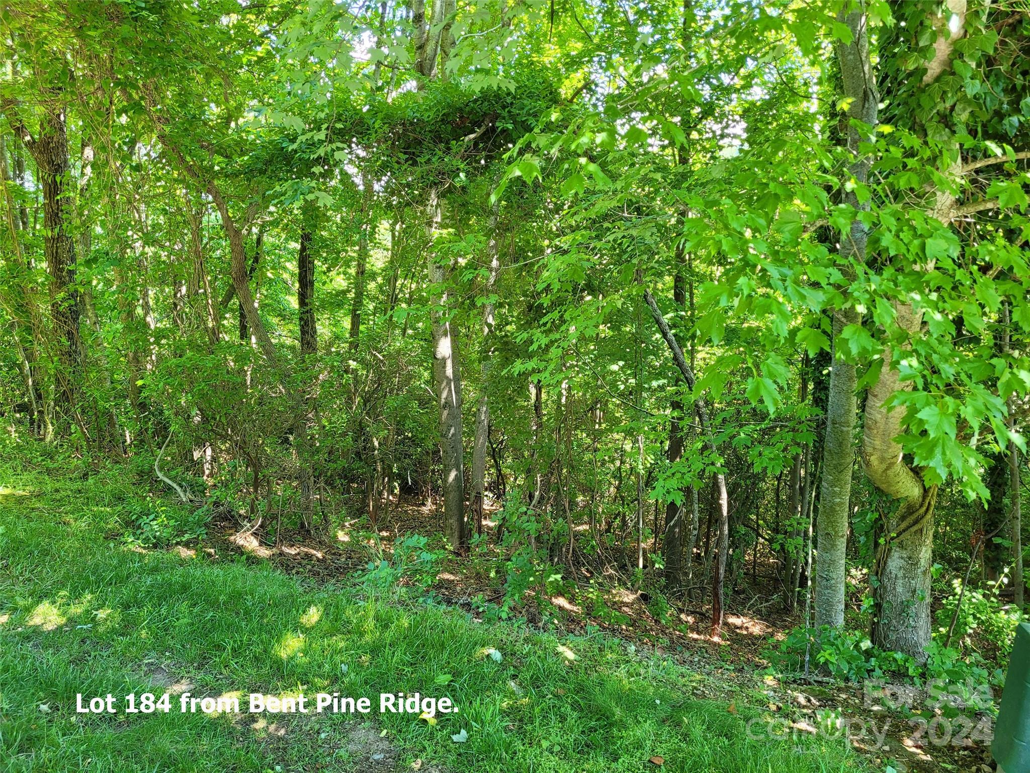 main property photo 13