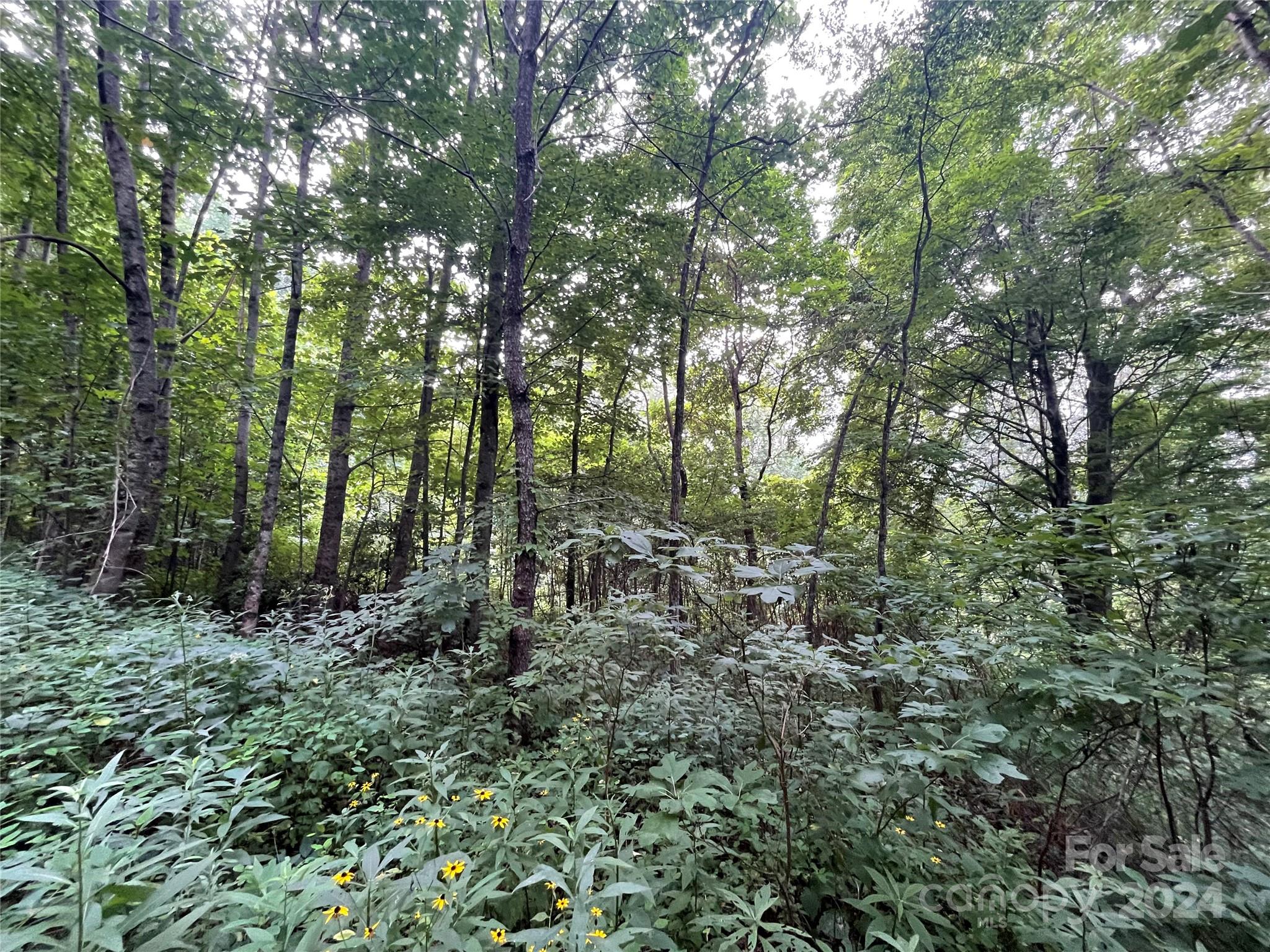main property photo 10