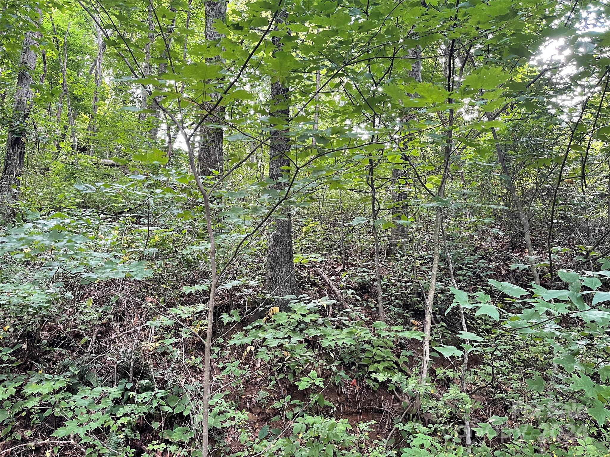 main property photo 11