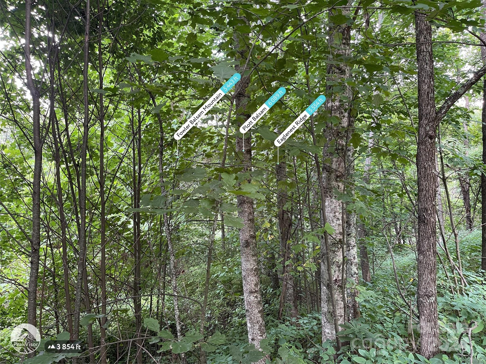 main property photo 34