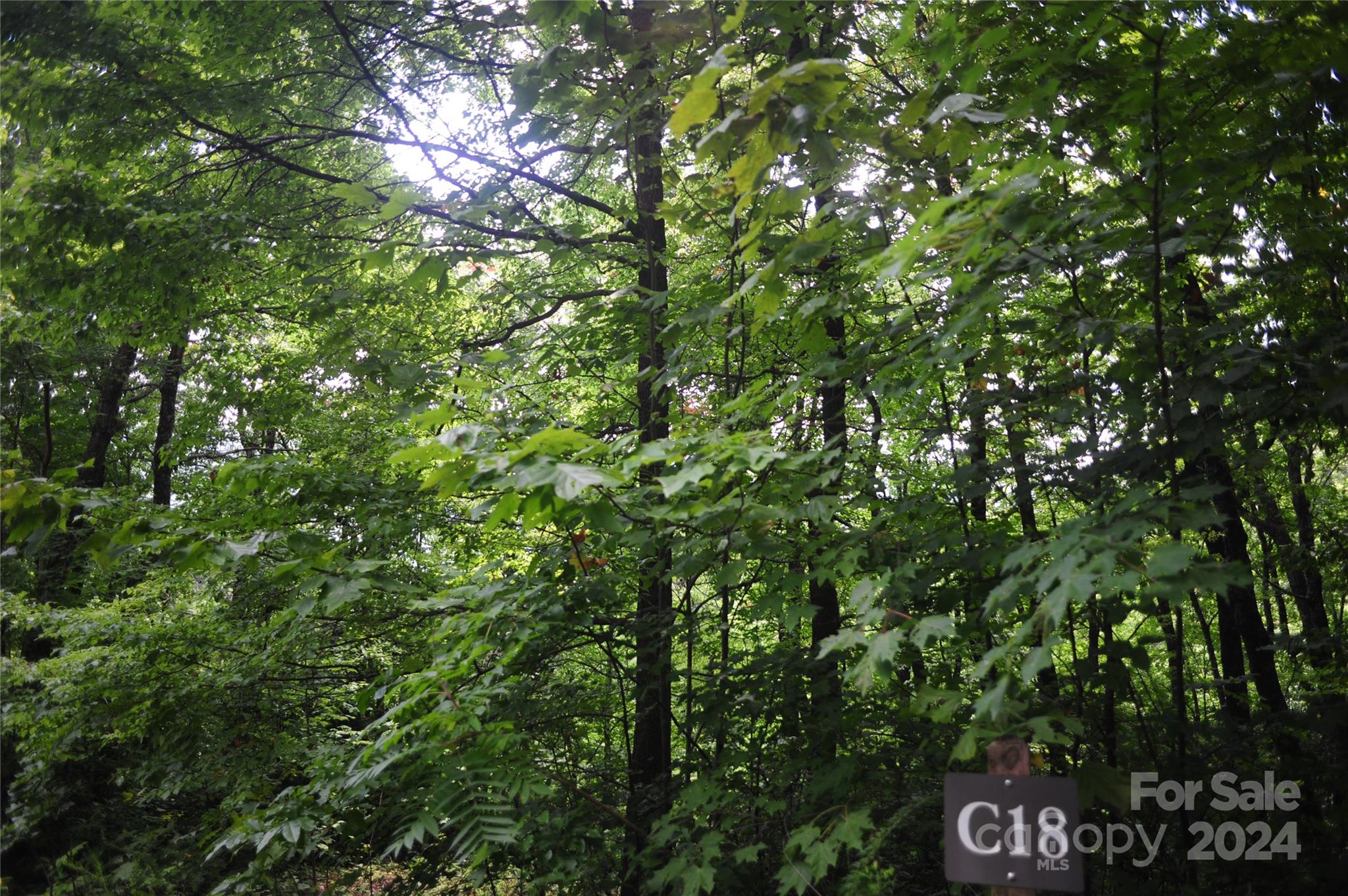 main property photo 12