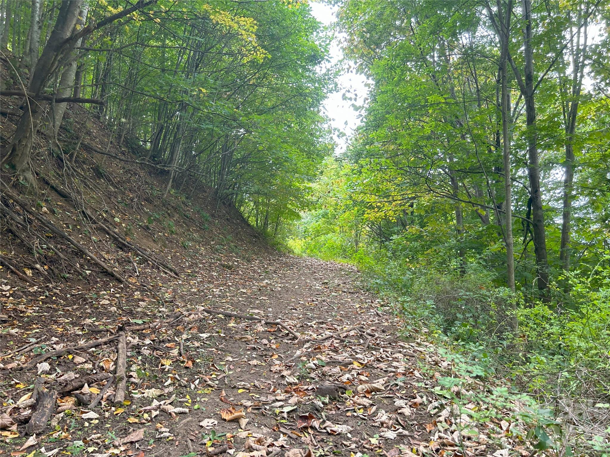 main property photo 9