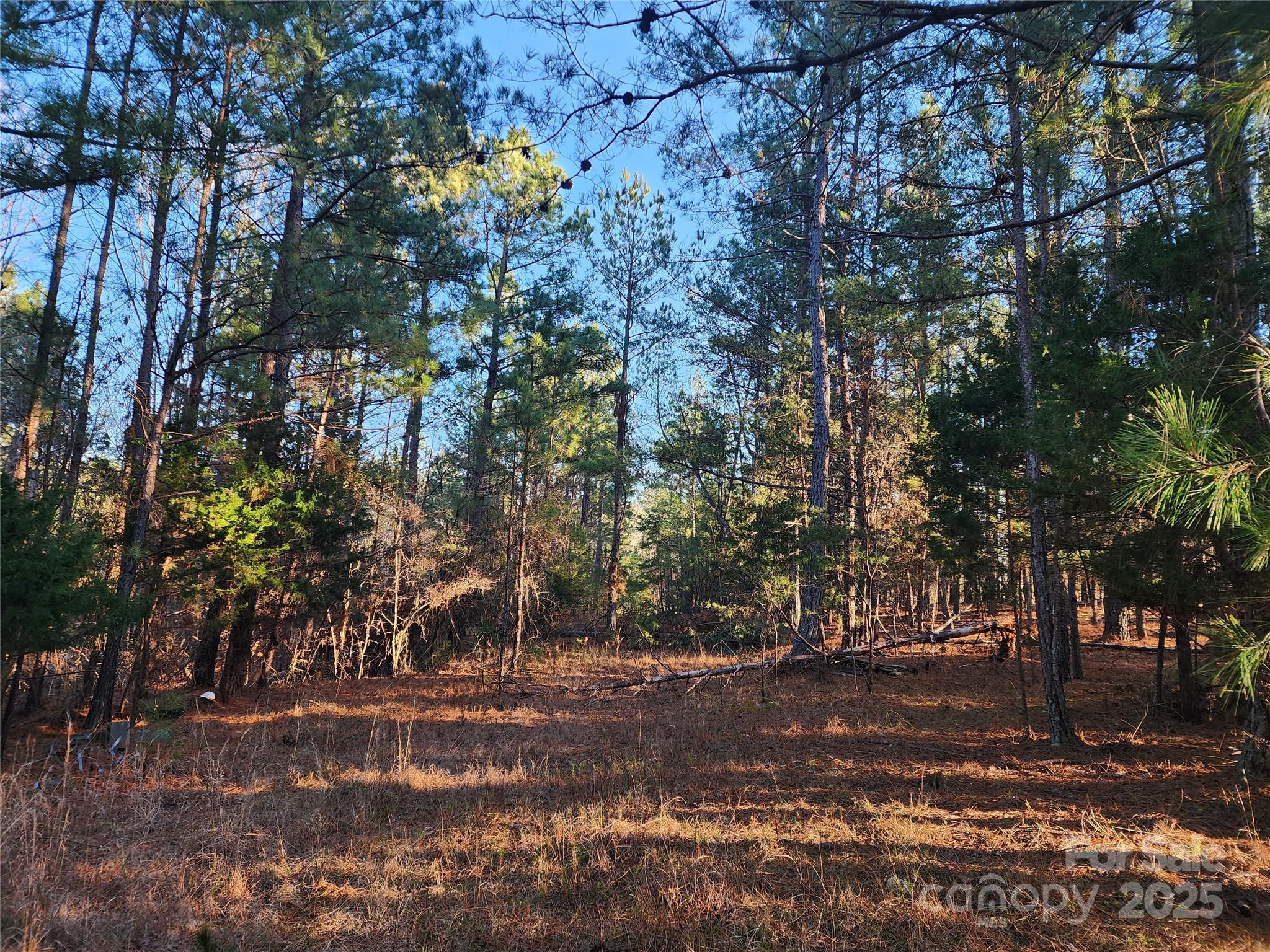 main property photo 24