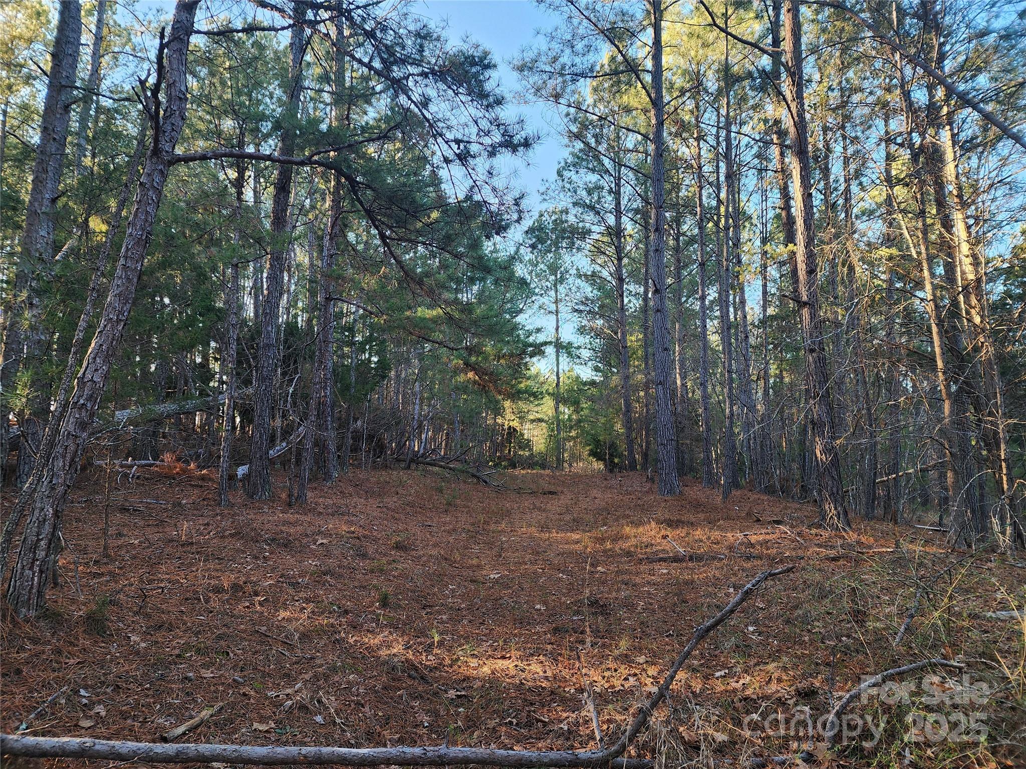 main property photo 26