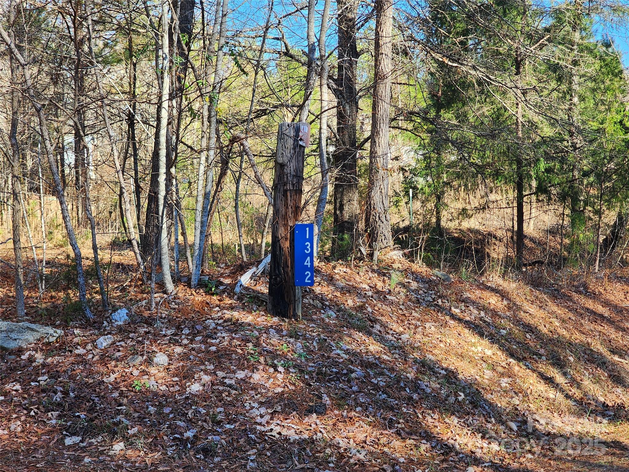 main property photo 28