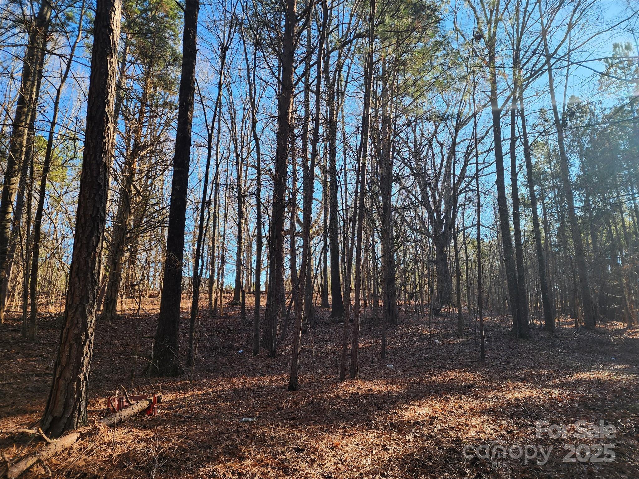 main property photo 29