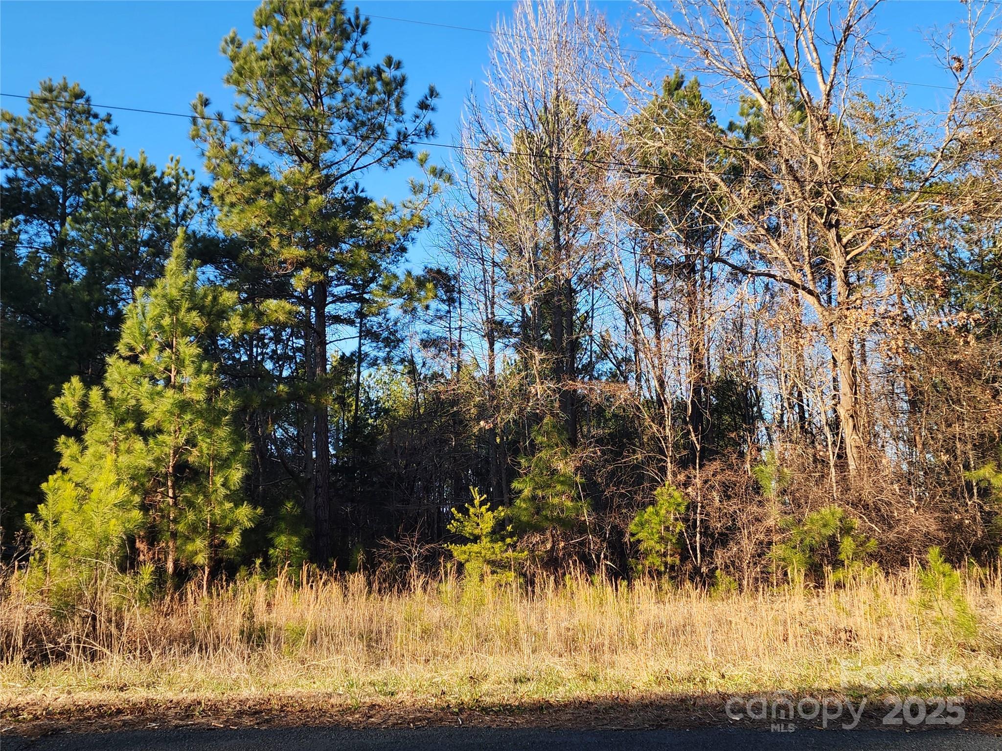 main property photo 33