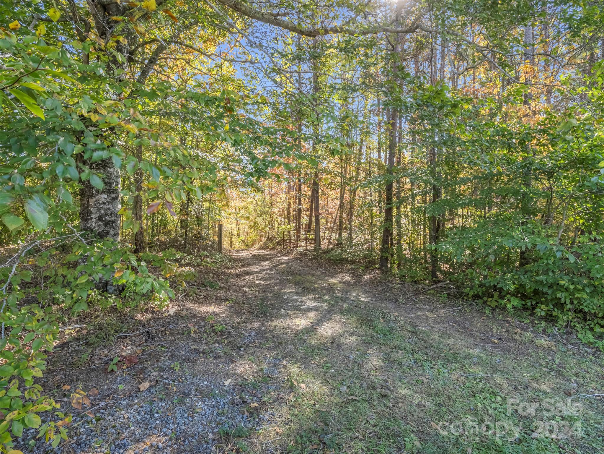 main property photo 41