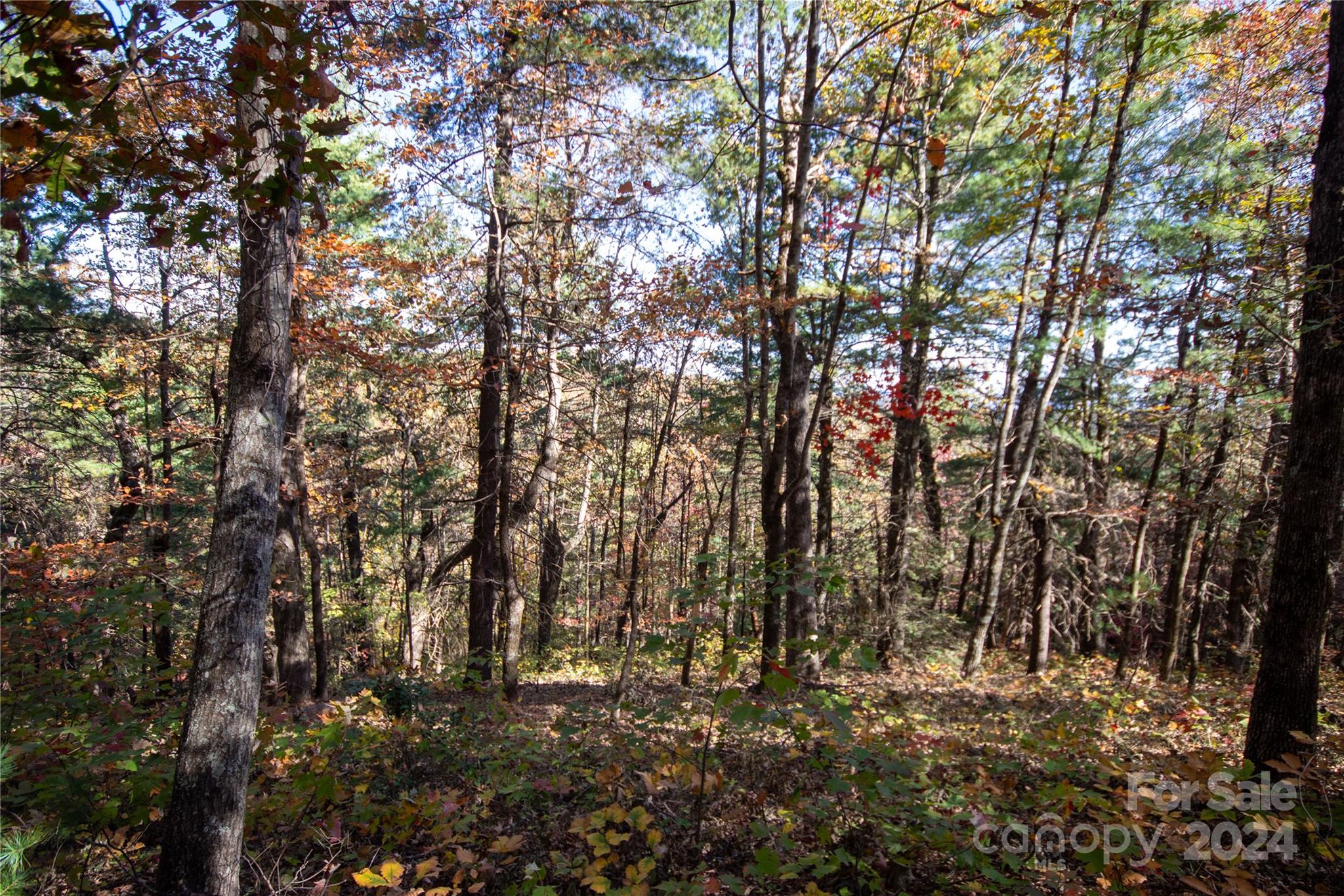 main property photo 21