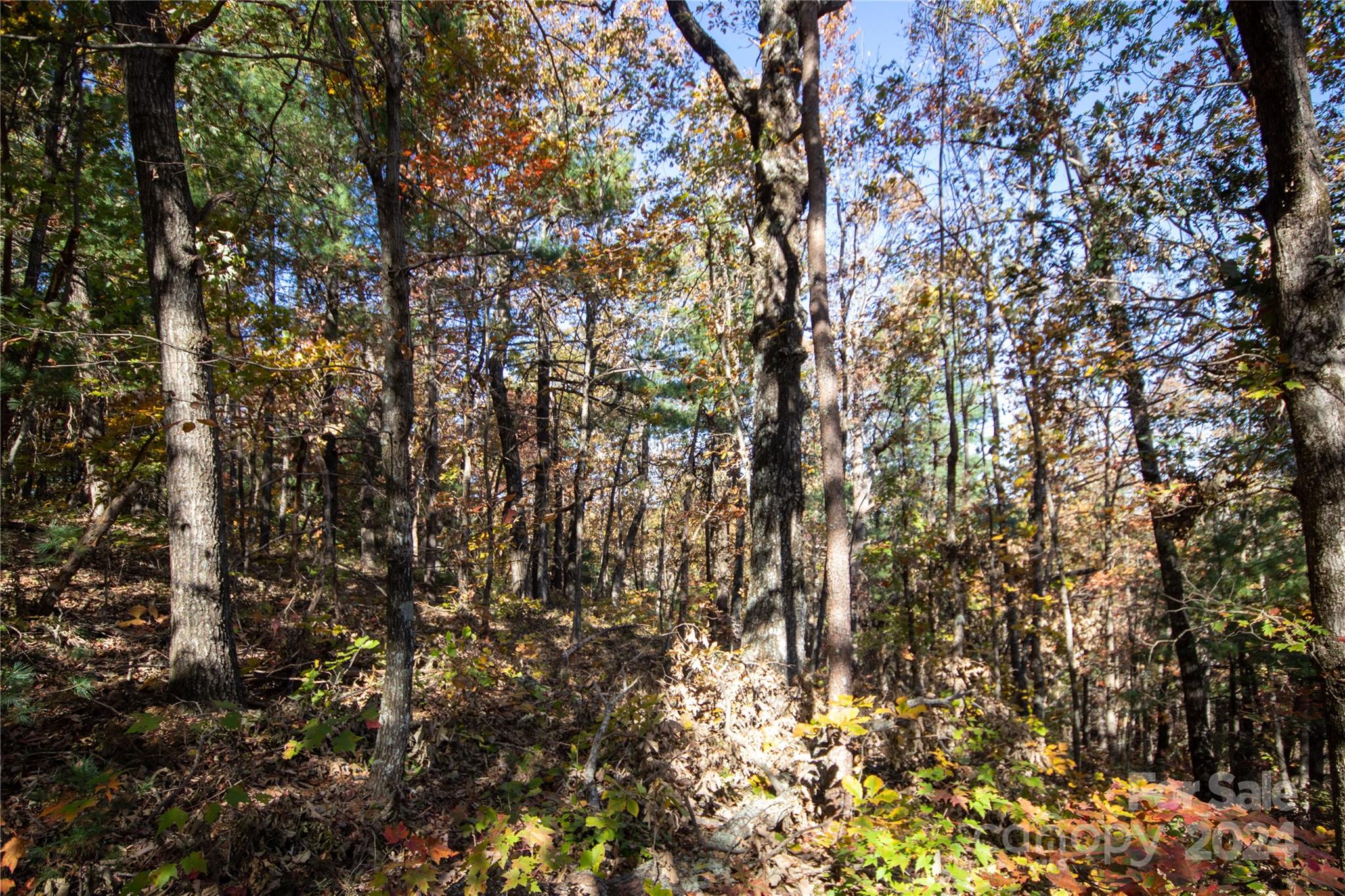 main property photo 32