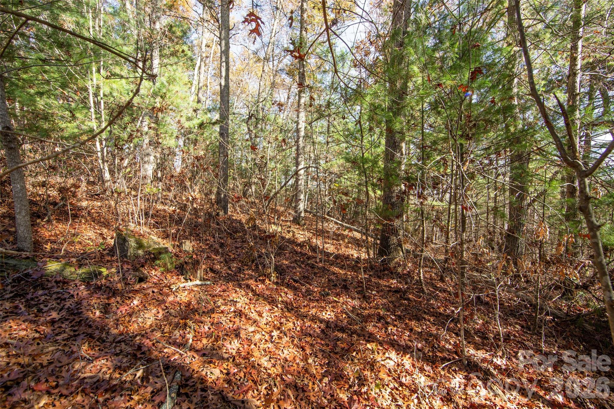 main property photo 16