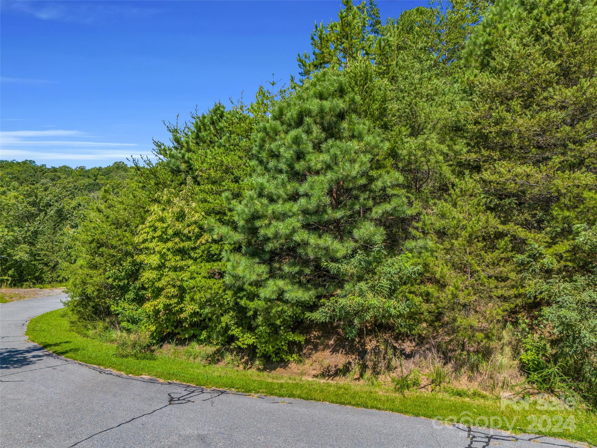 main property photo 24