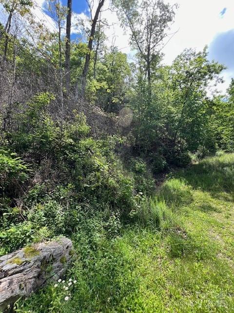 main property photo 8