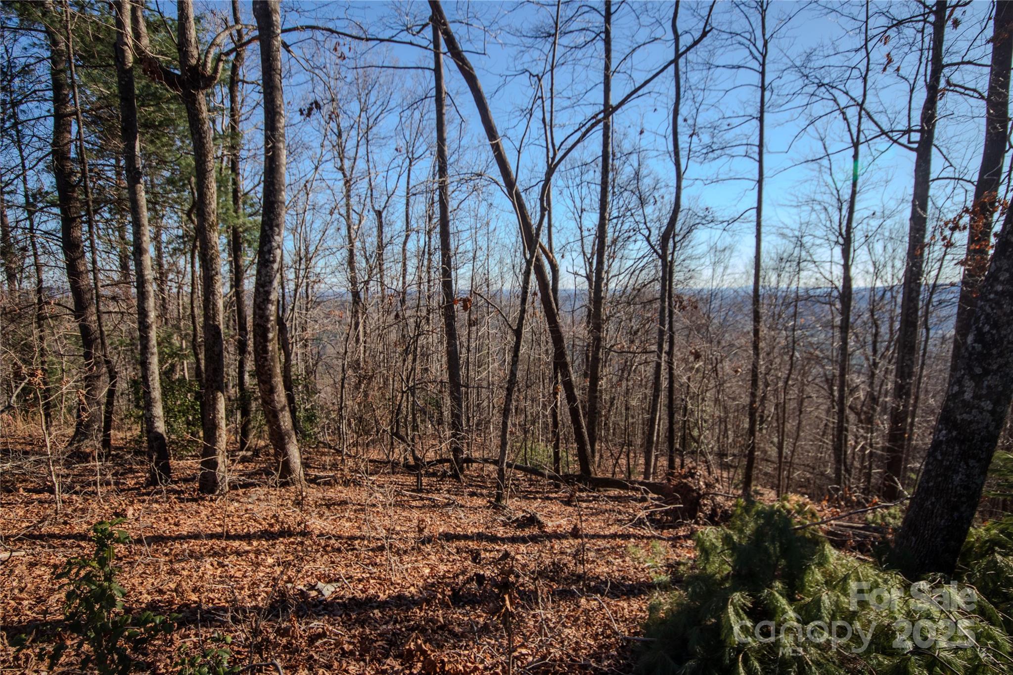 main property photo 11