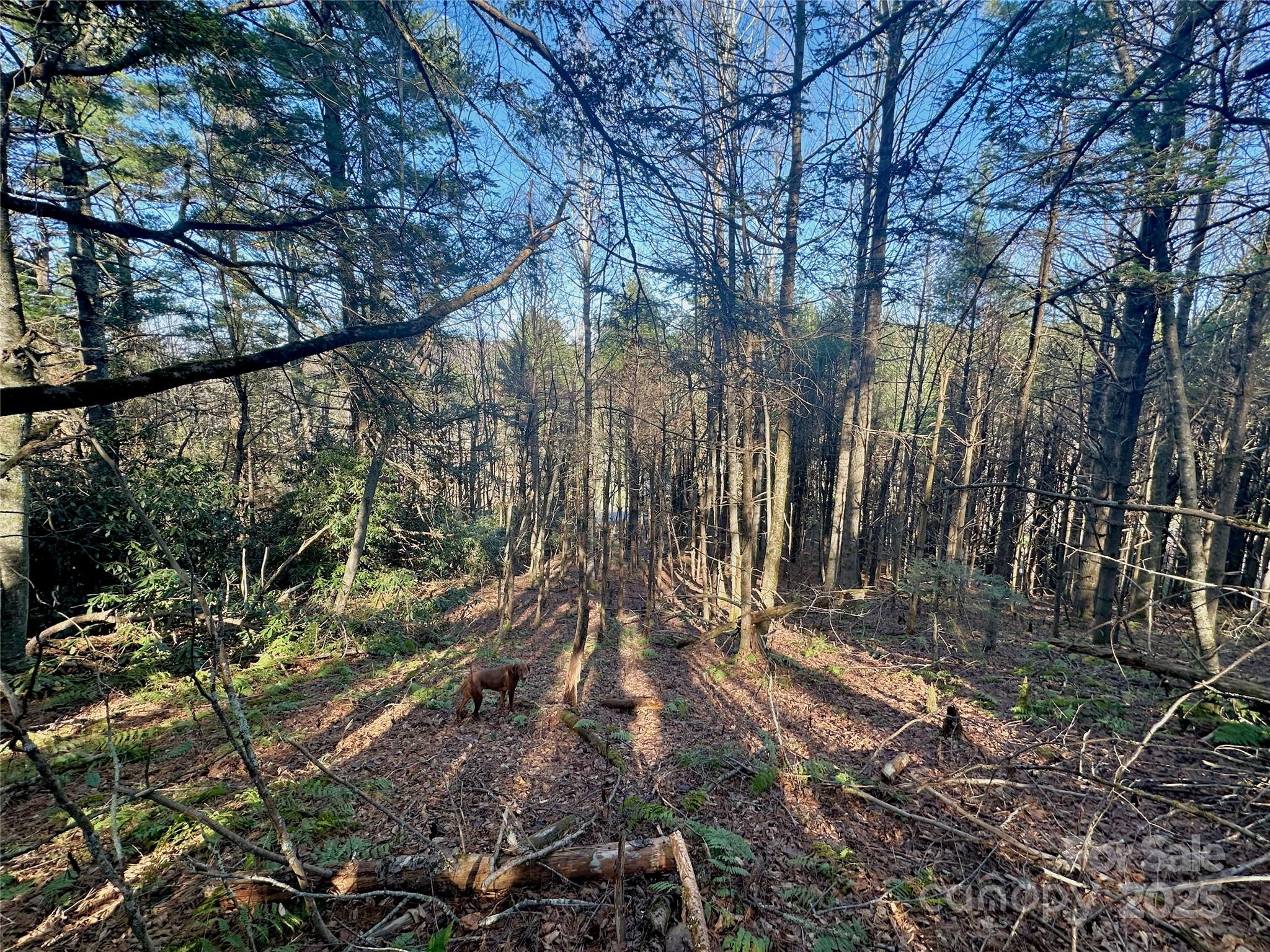 main property photo 12