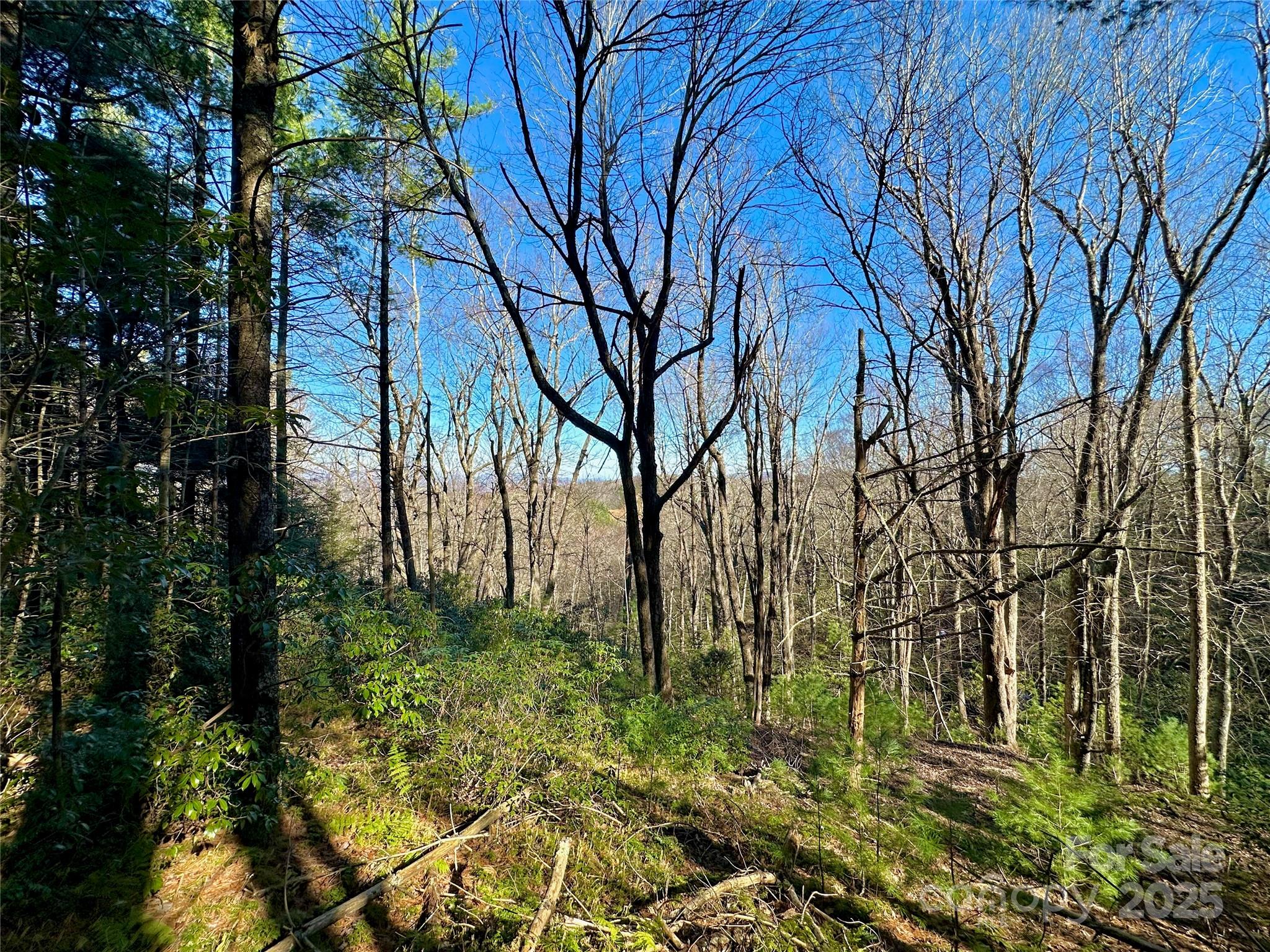 main property photo 16