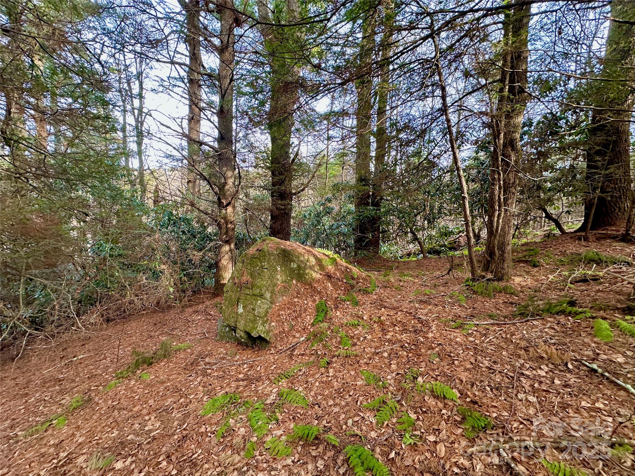 main property photo 25