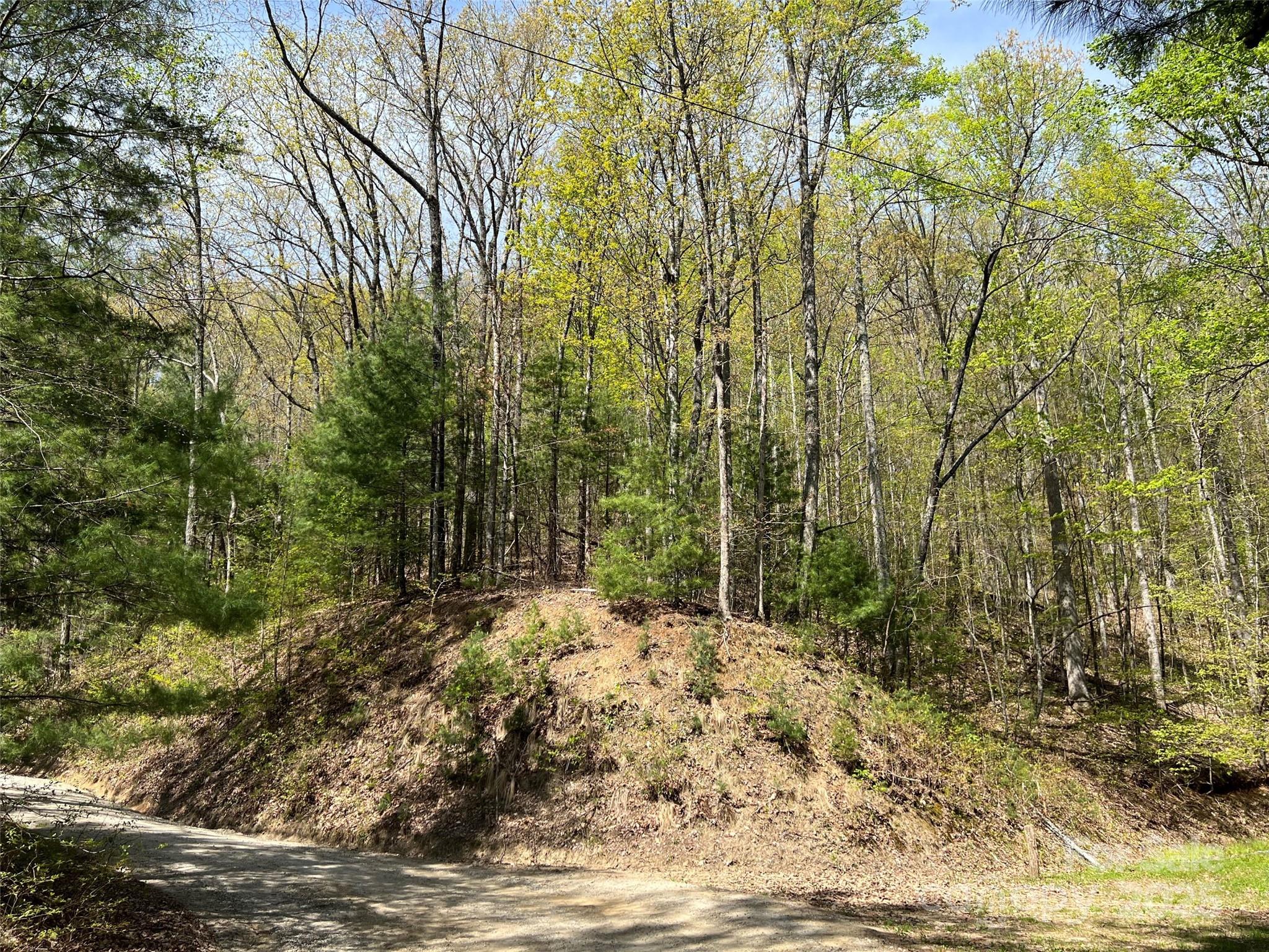 main property photo 11
