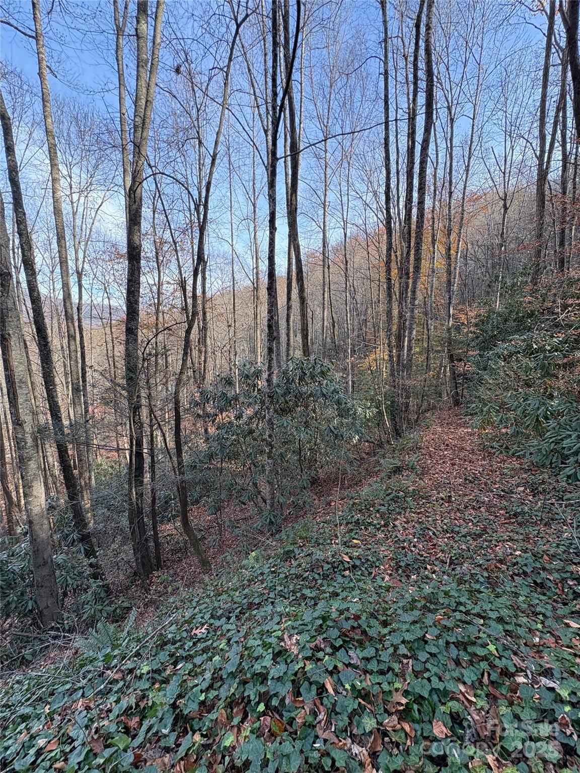 main property photo 18