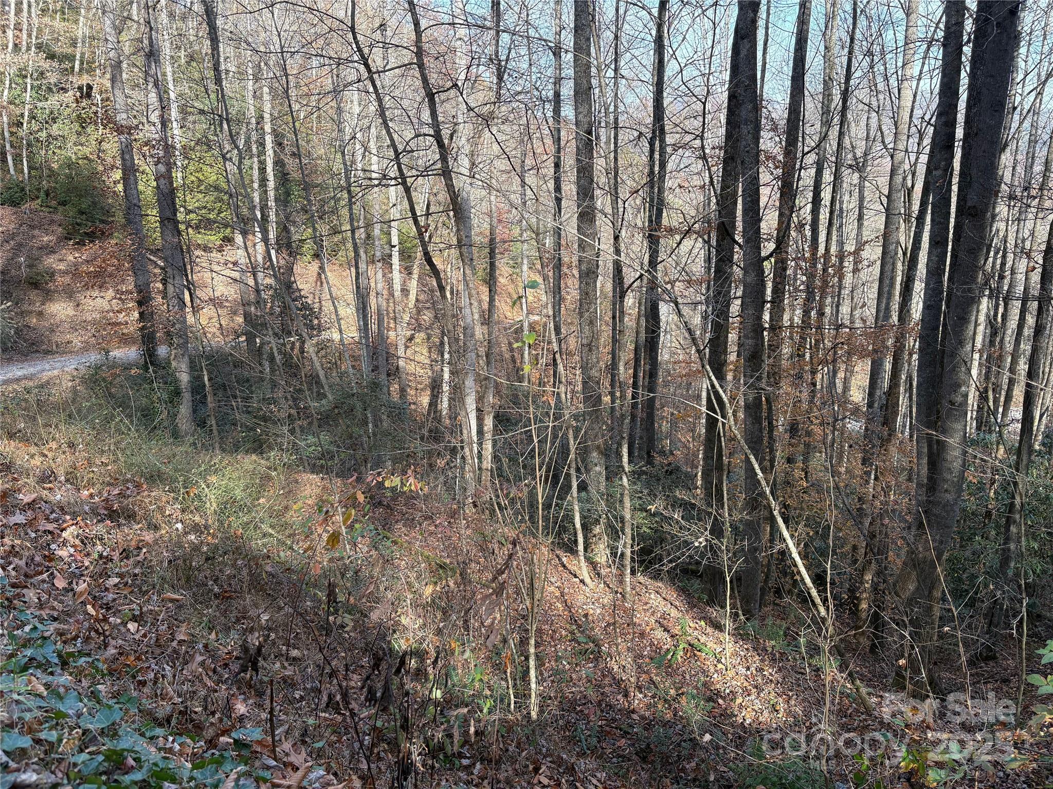 main property photo 21