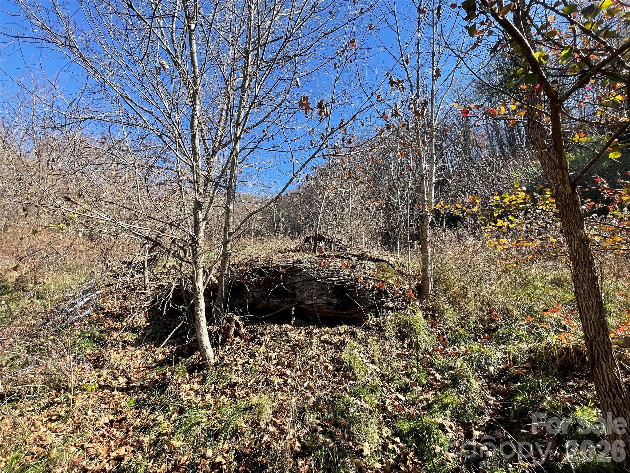main property photo 17