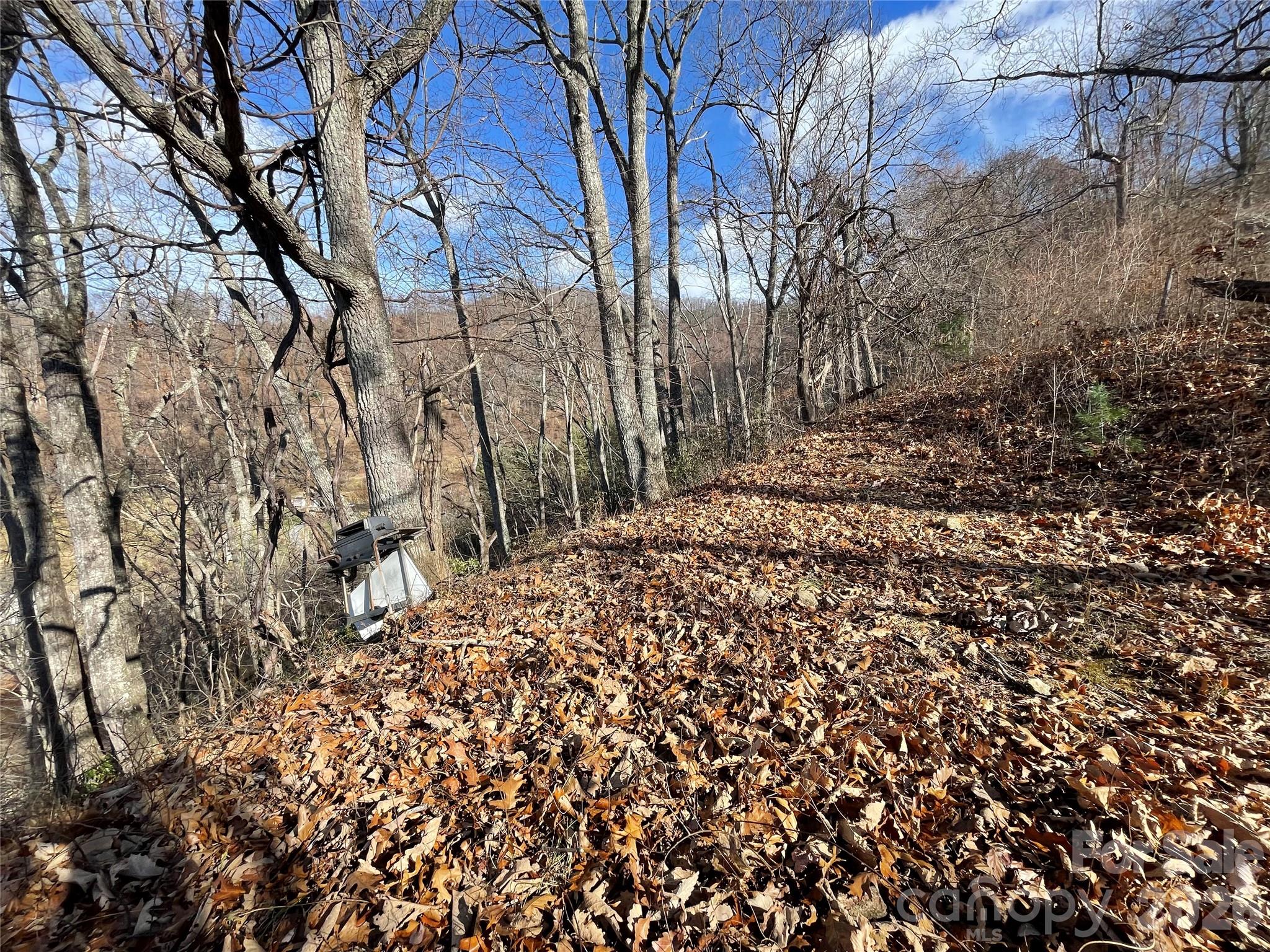 main property photo 26