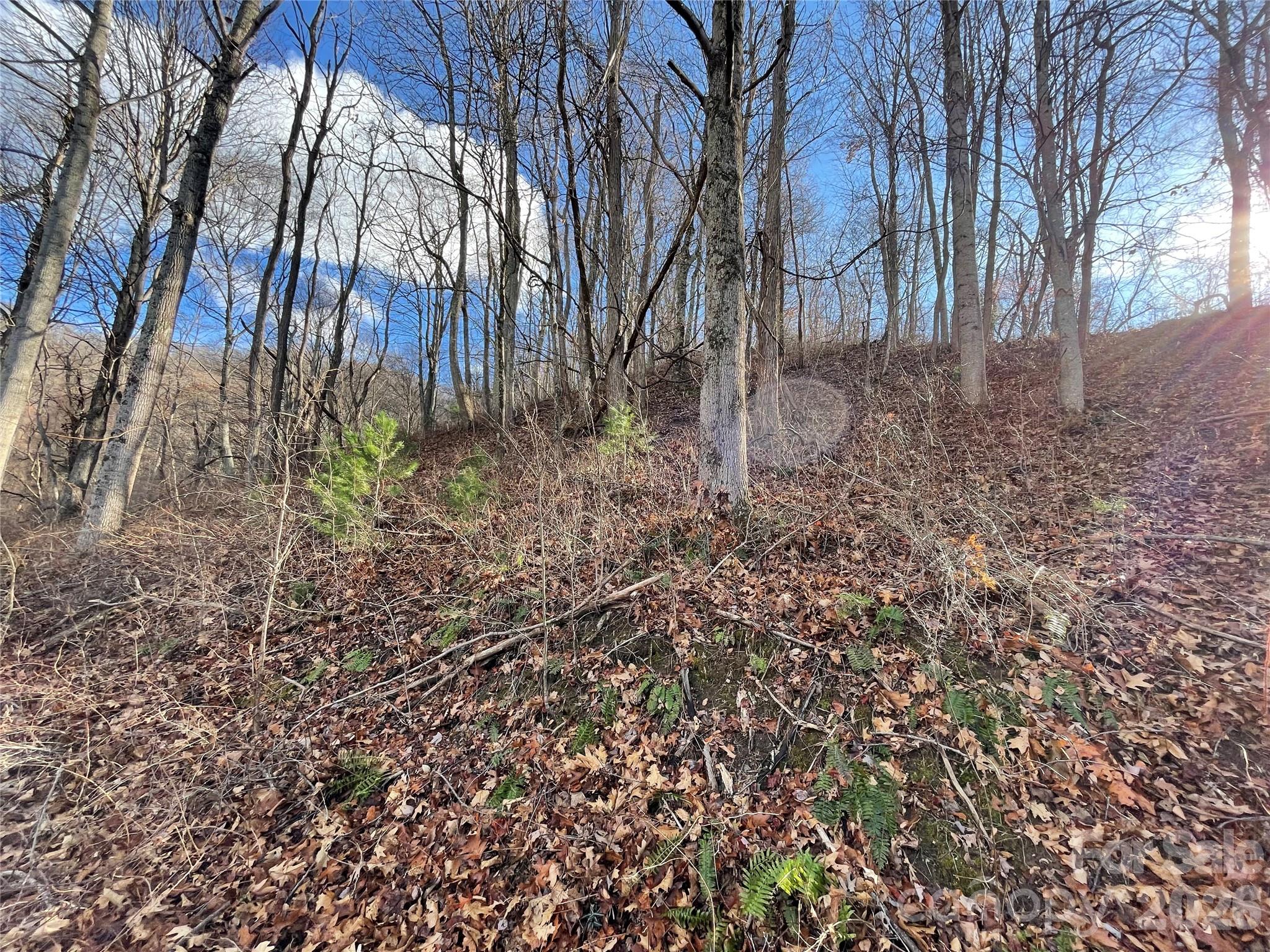 main property photo 32
