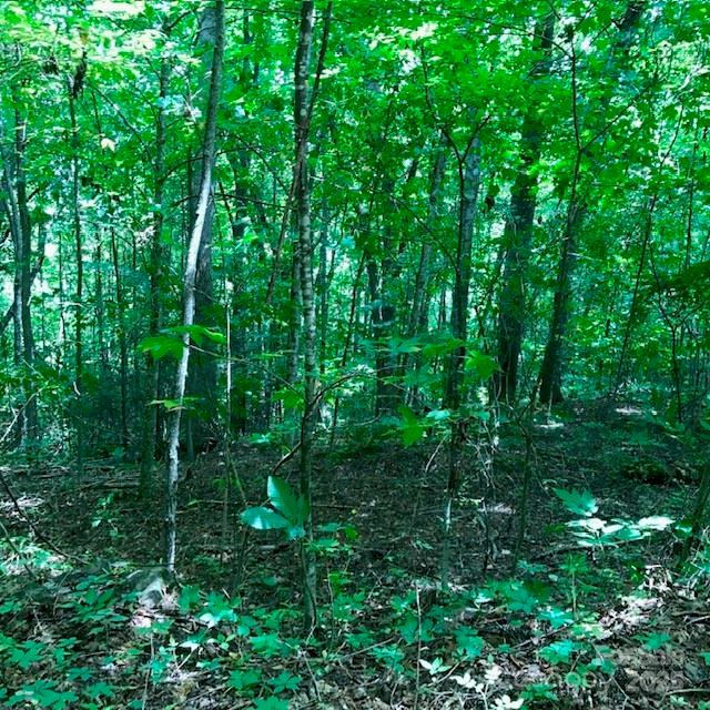 main property photo 8
