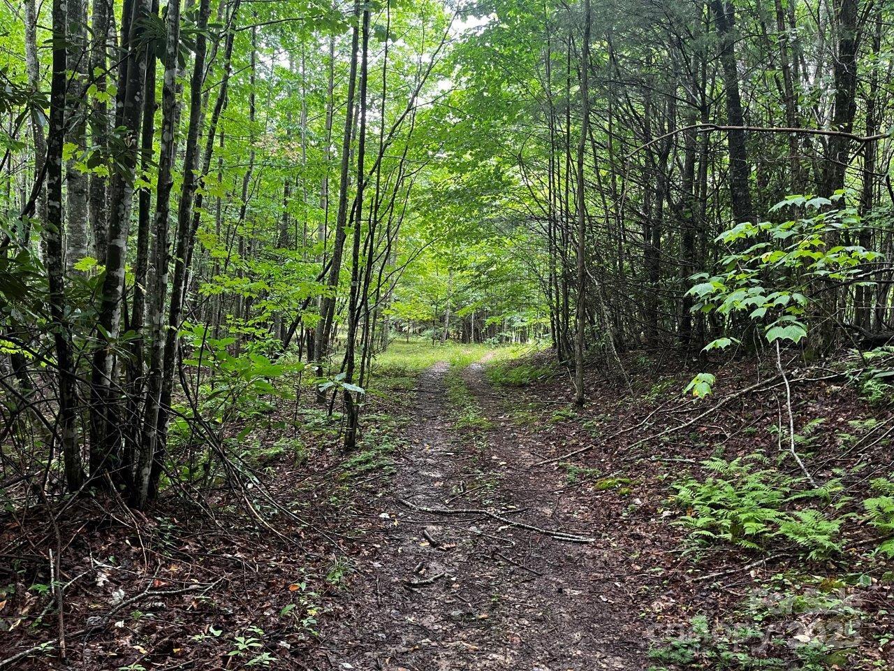 main property photo 22