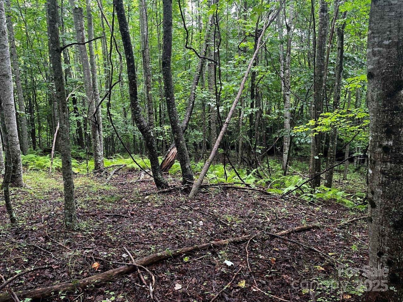 main property photo 25