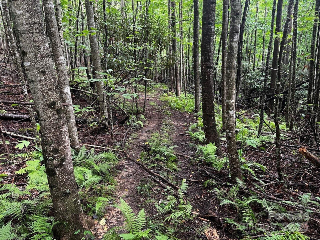 main property photo 35
