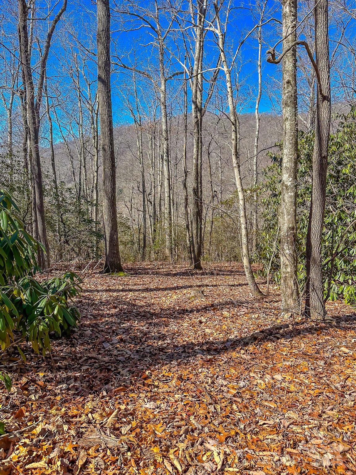 main property photo 11