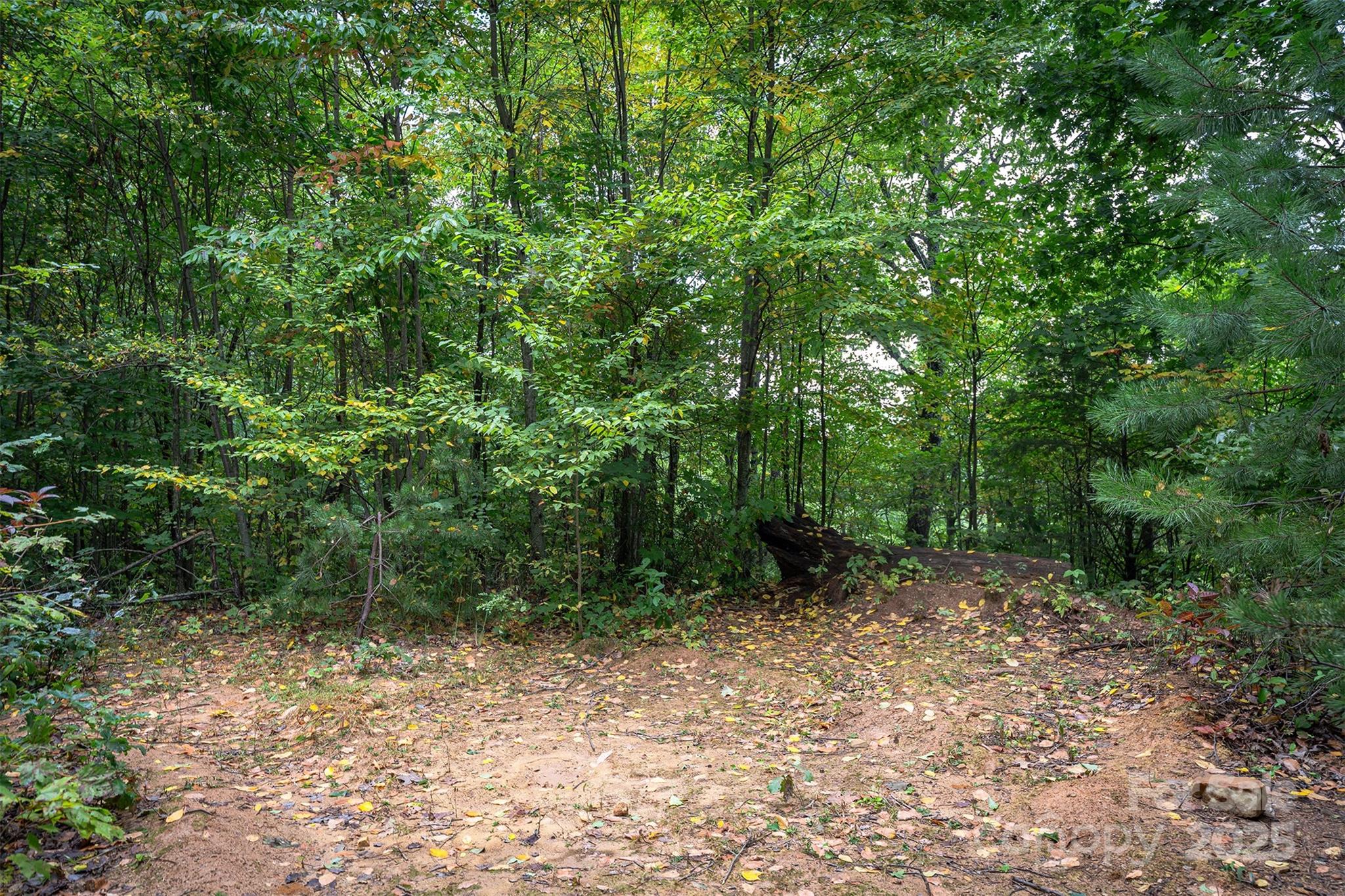 main property photo 16