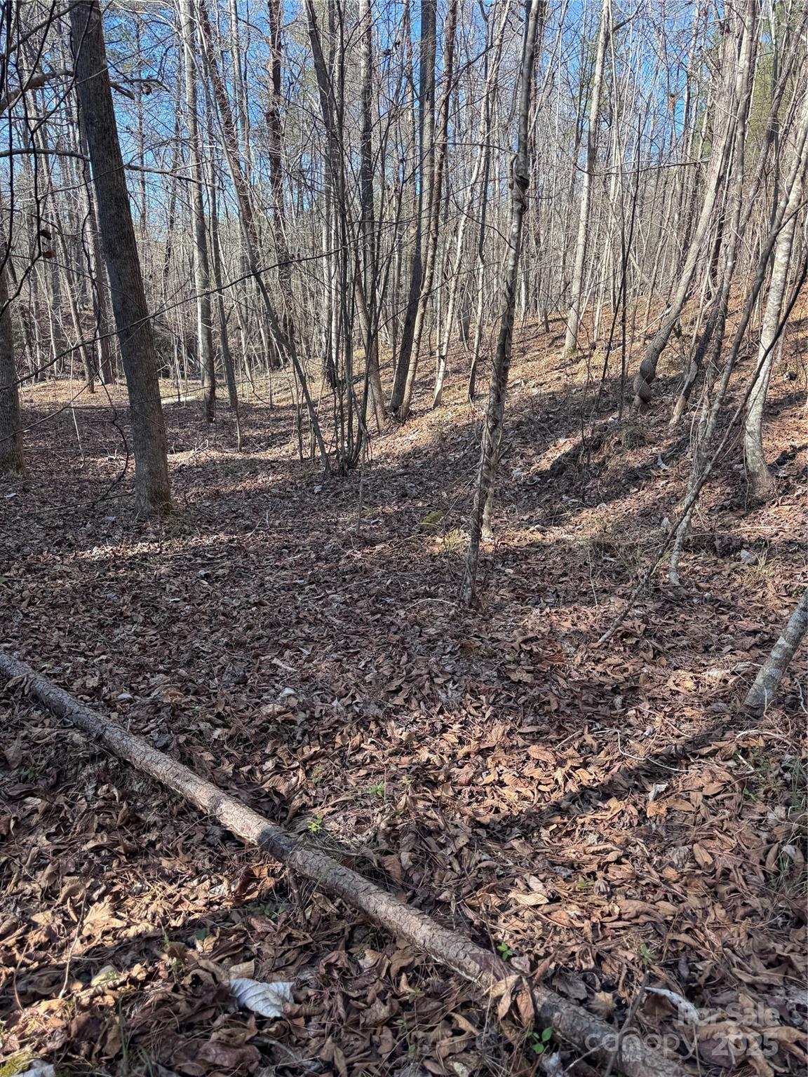 main property photo 11