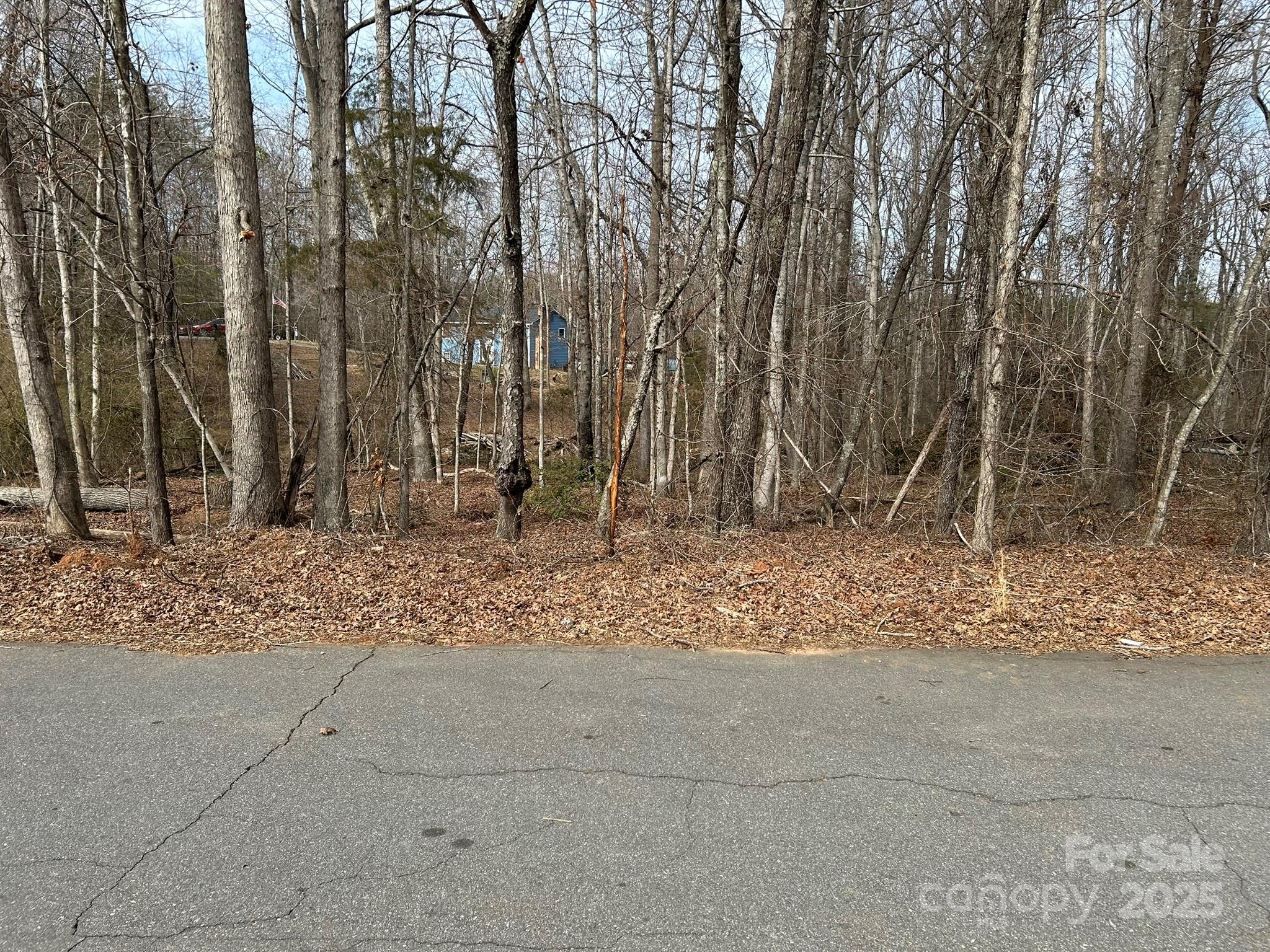 main property photo 11