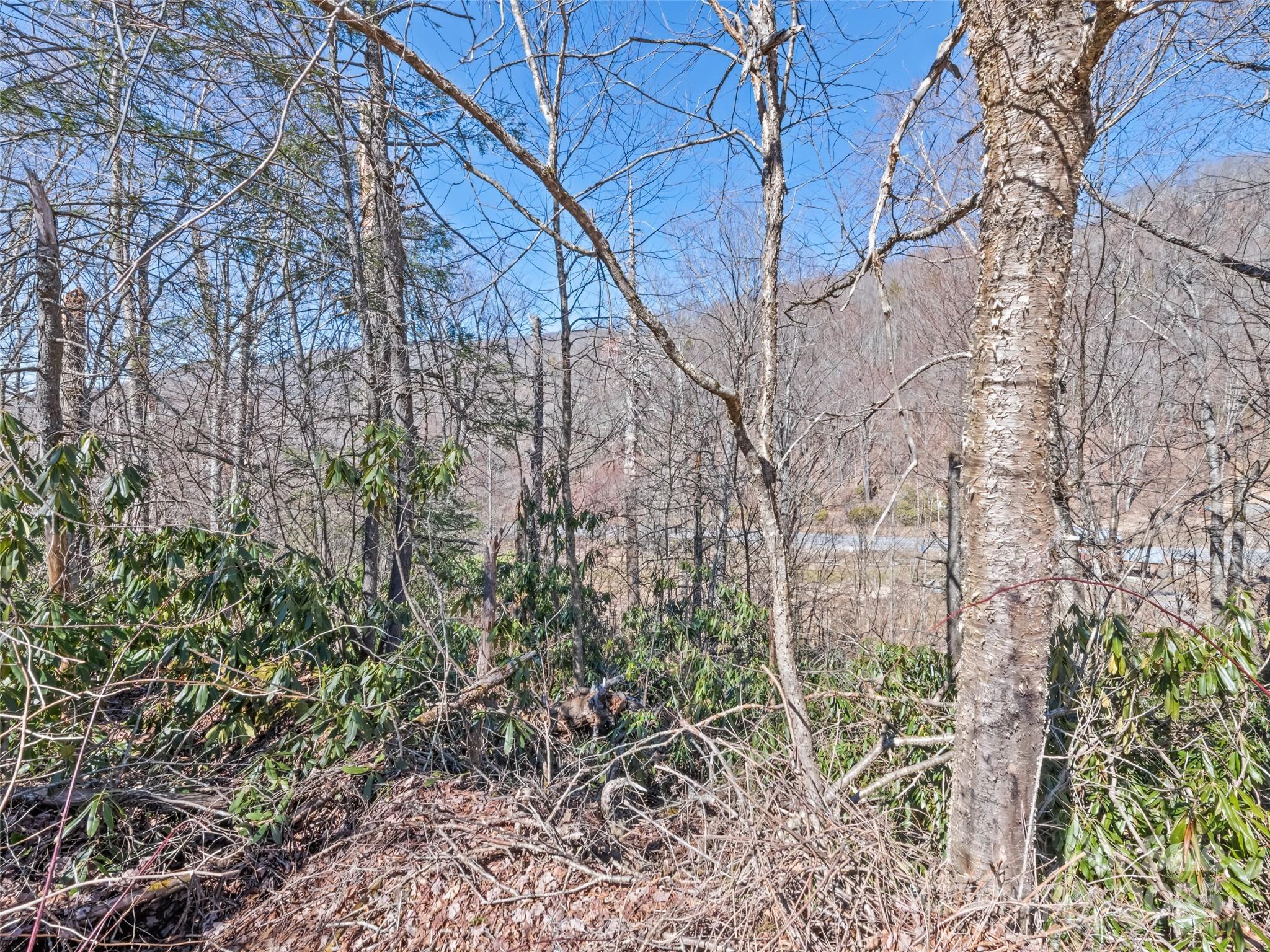 main property photo 10