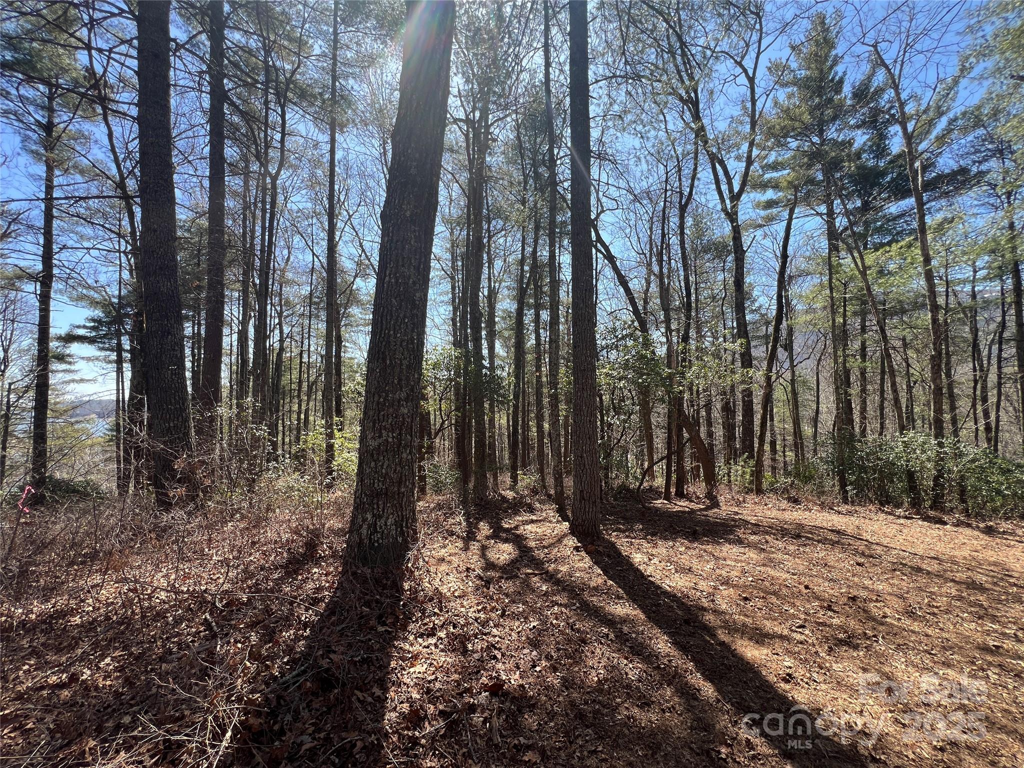 main property photo 11