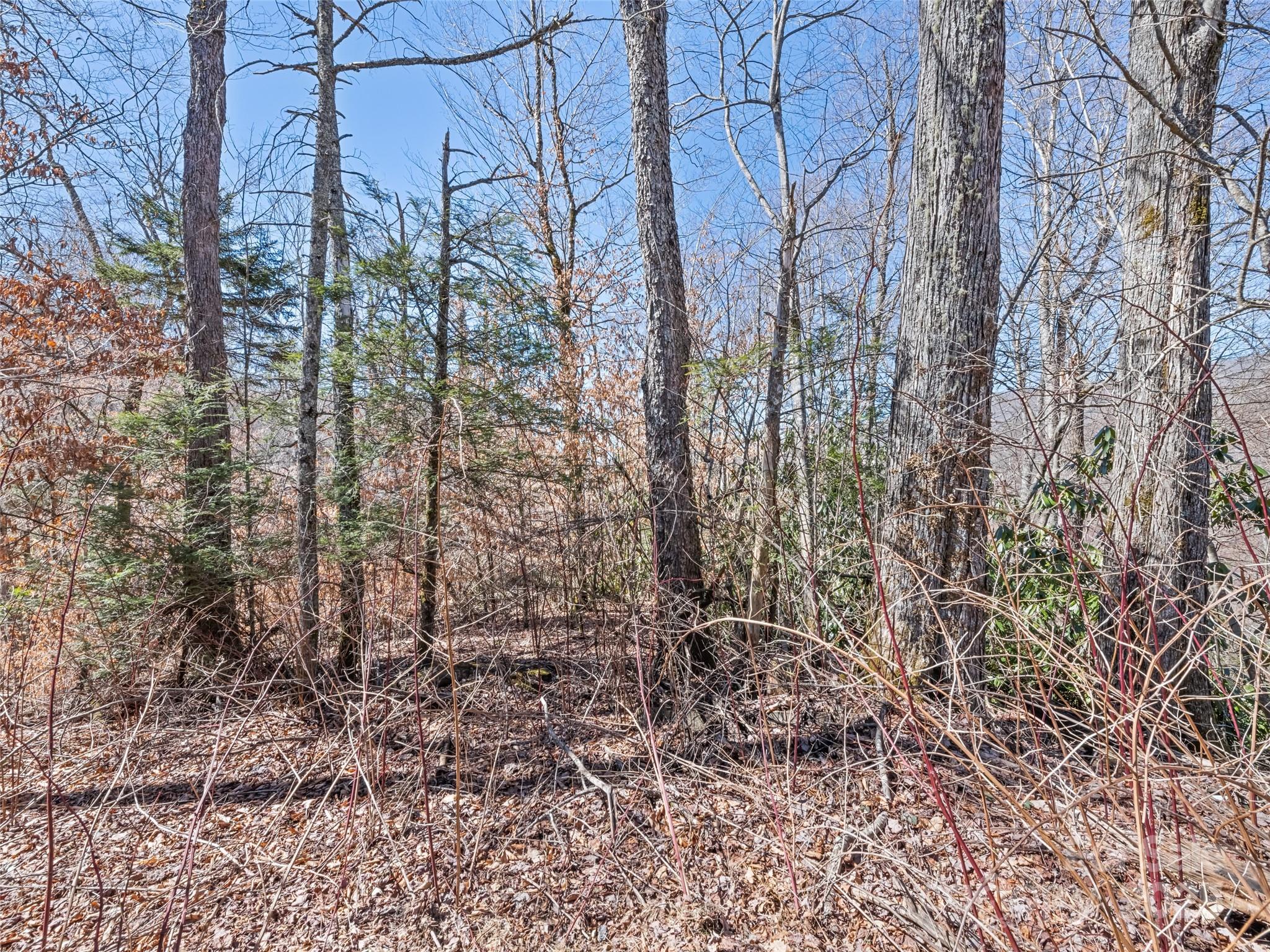 main property photo 9