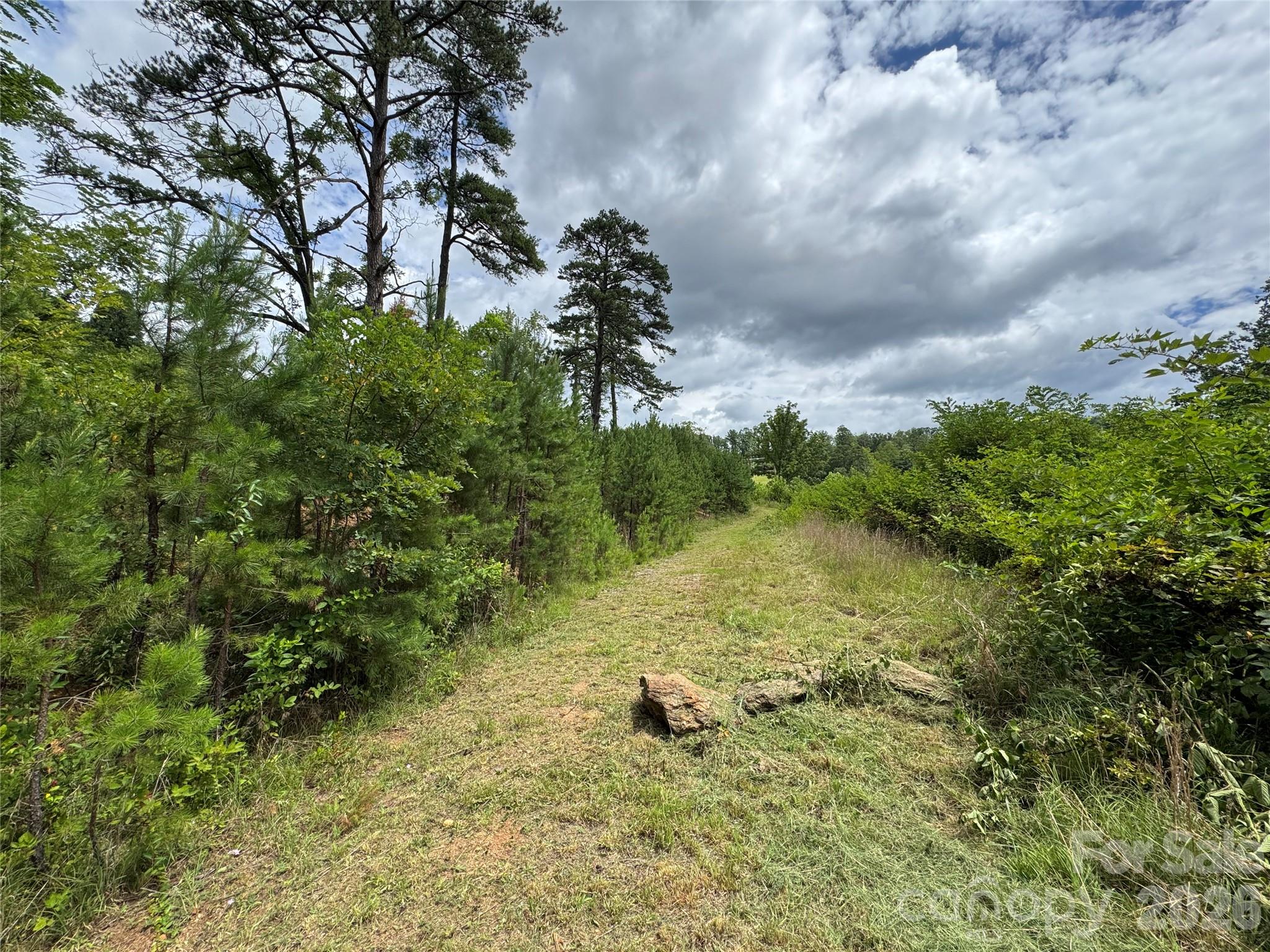 main property photo 43
