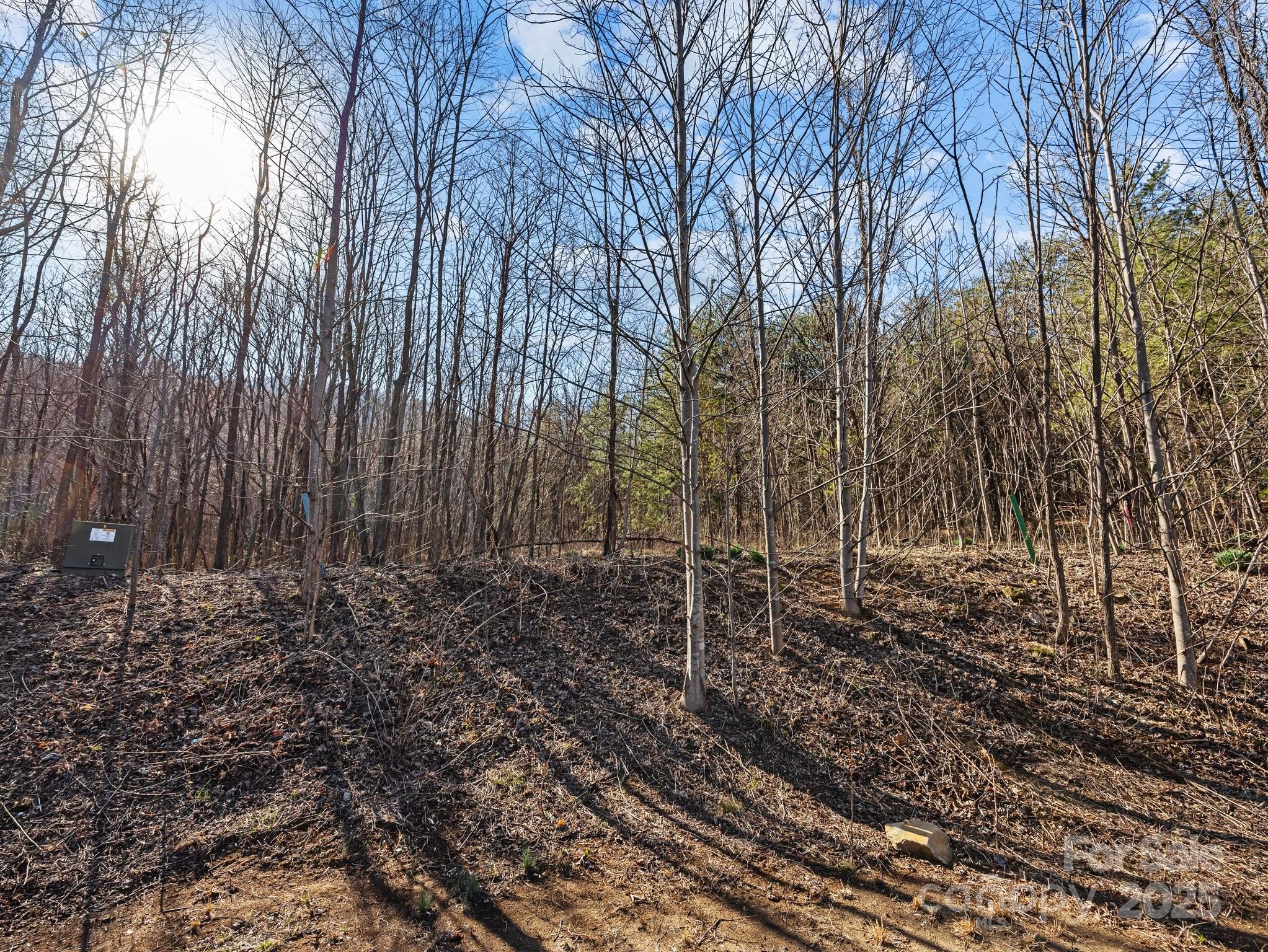main property photo 20