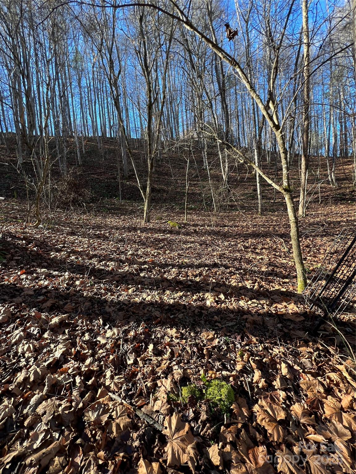 main property photo 35