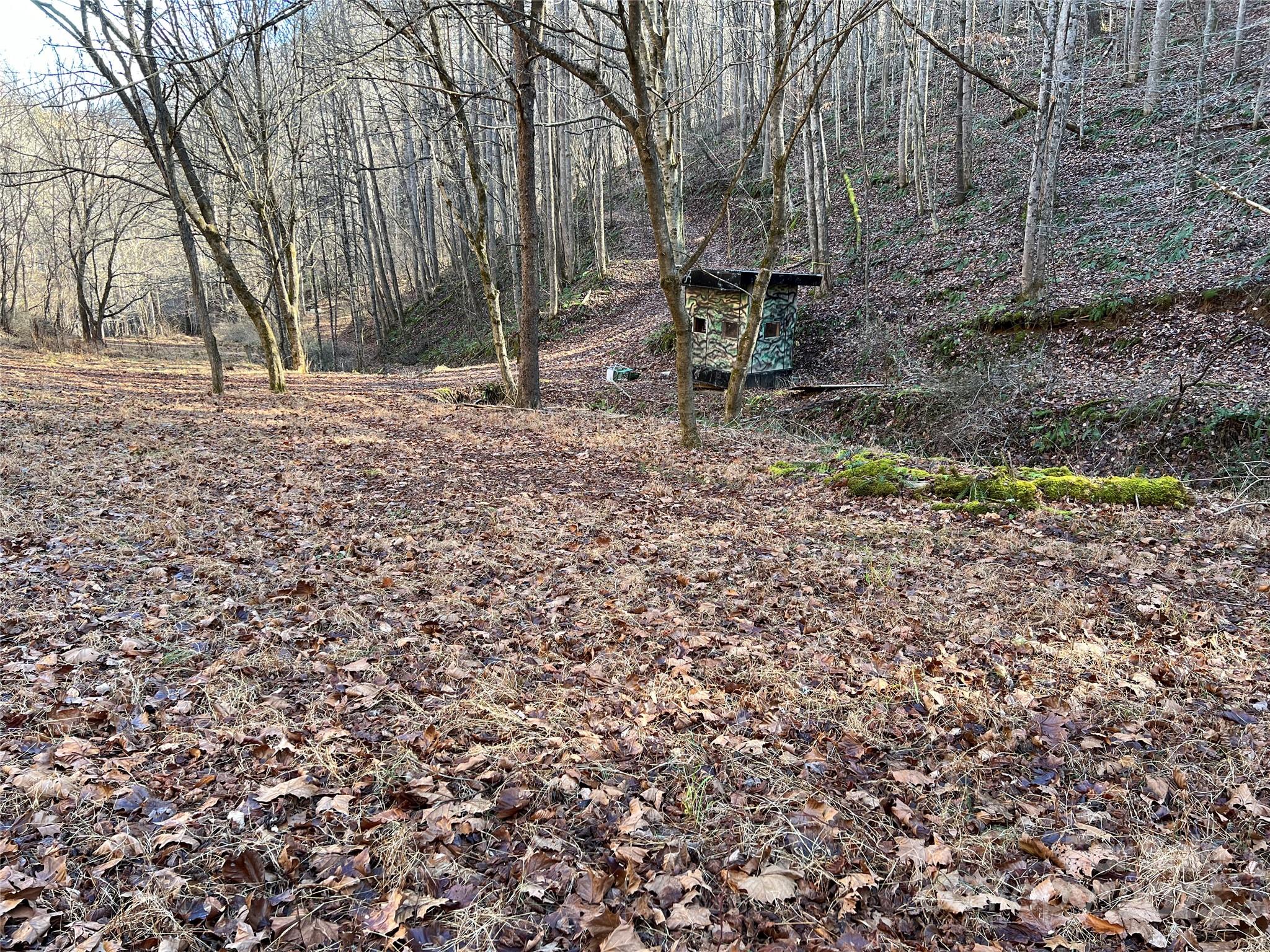 main property photo 41
