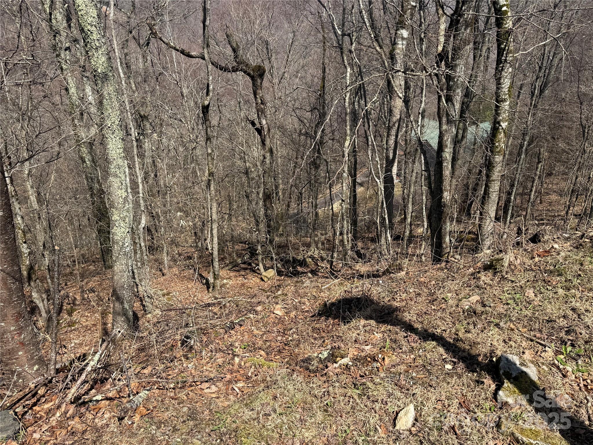 main property photo 8