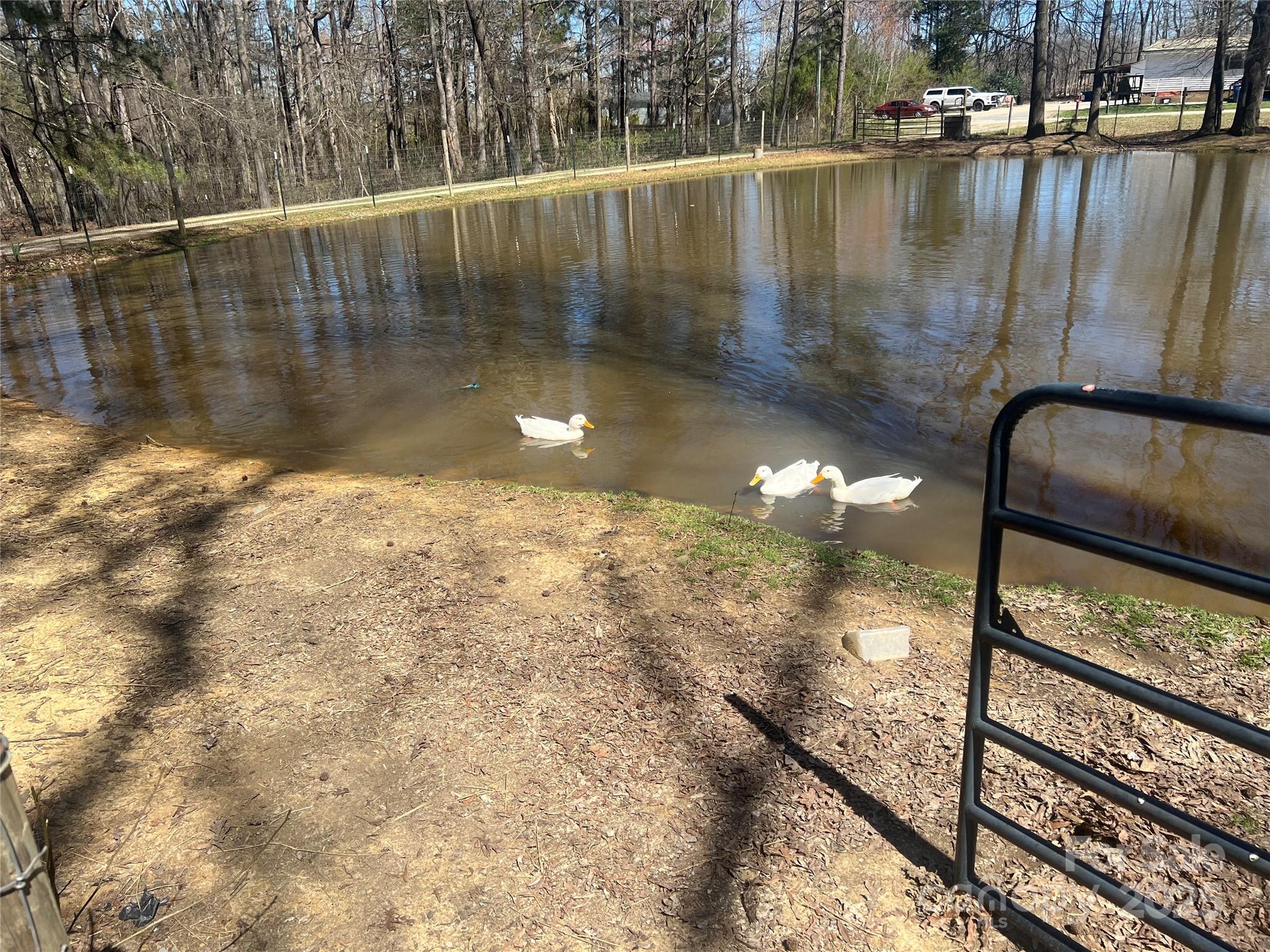 main property photo 19