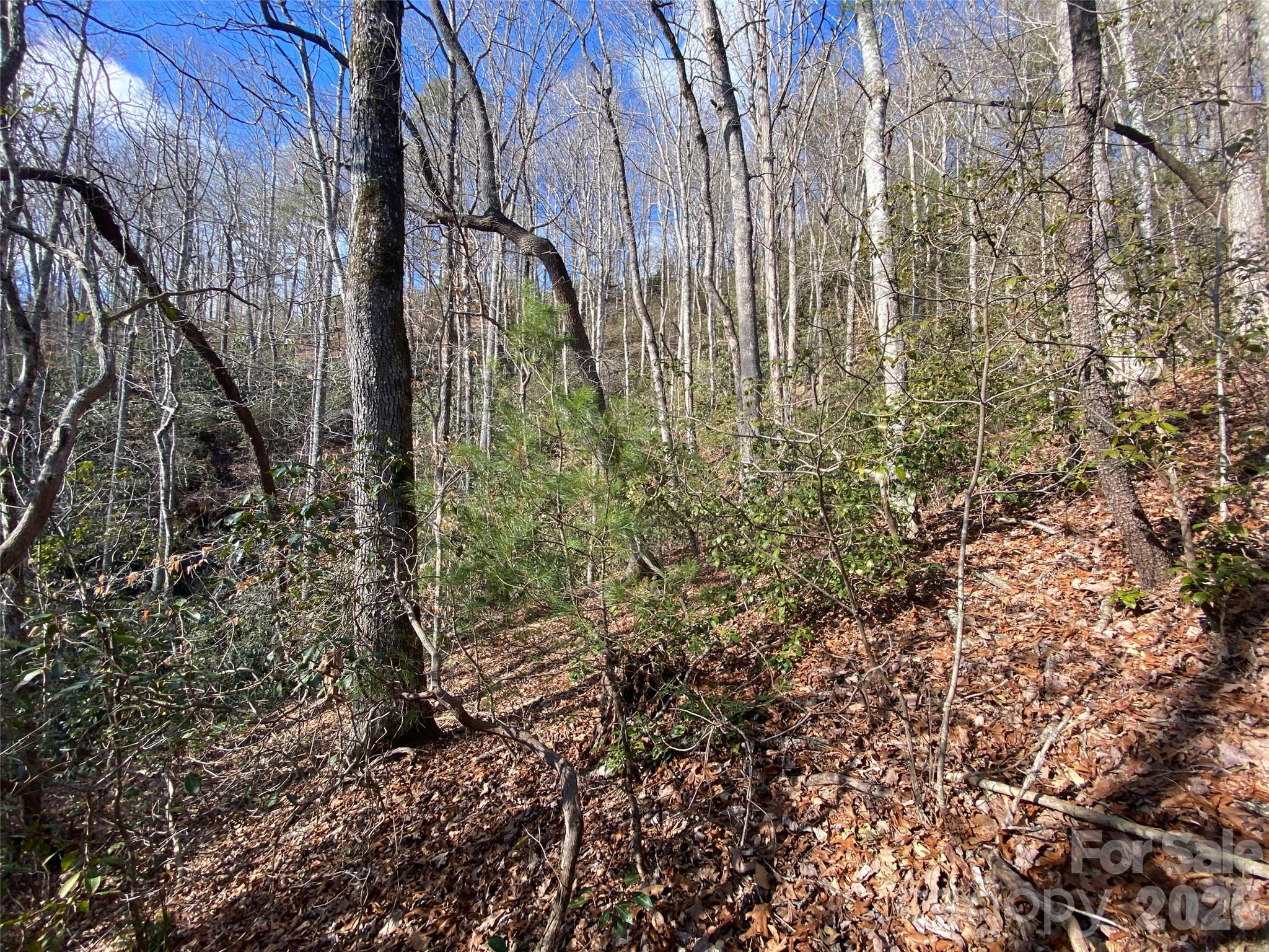 main property photo 12