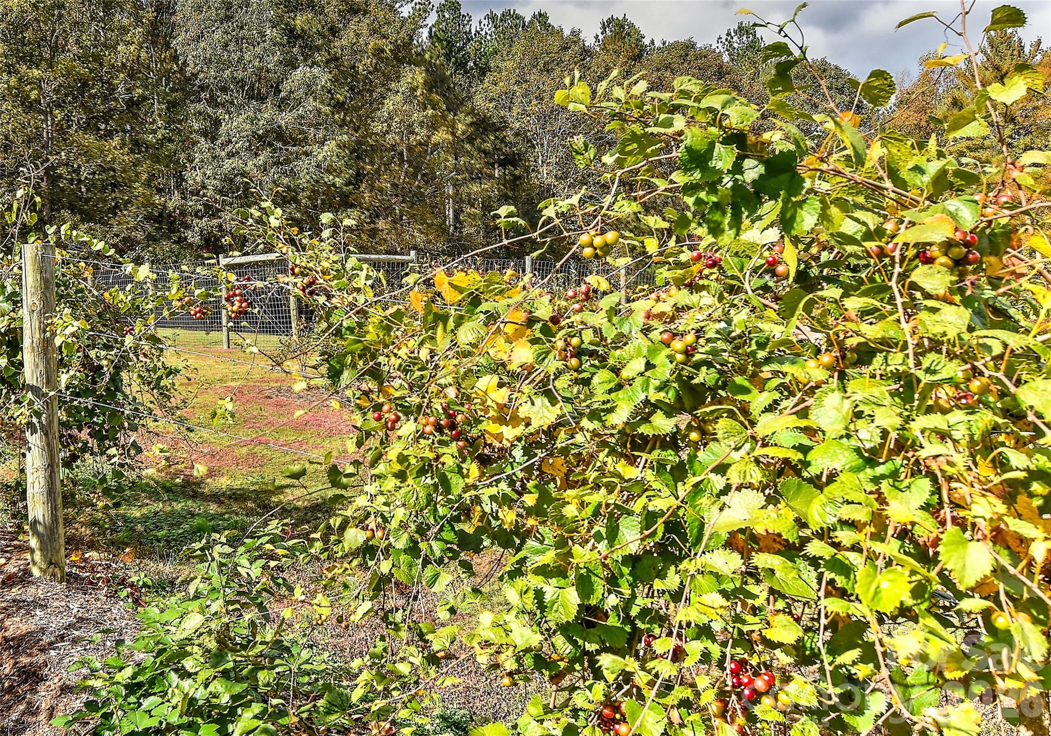 main property photo 37