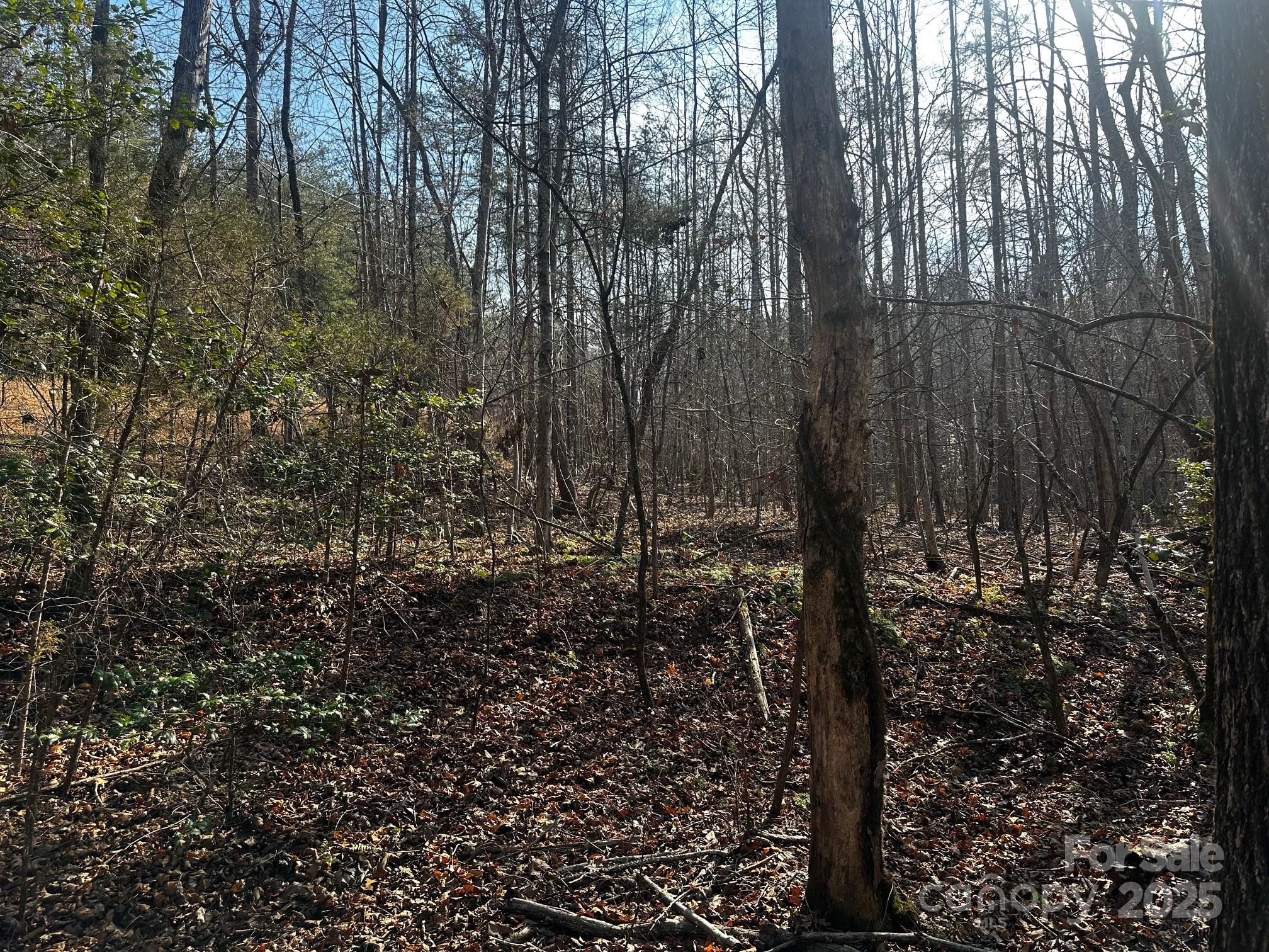 main property photo 10