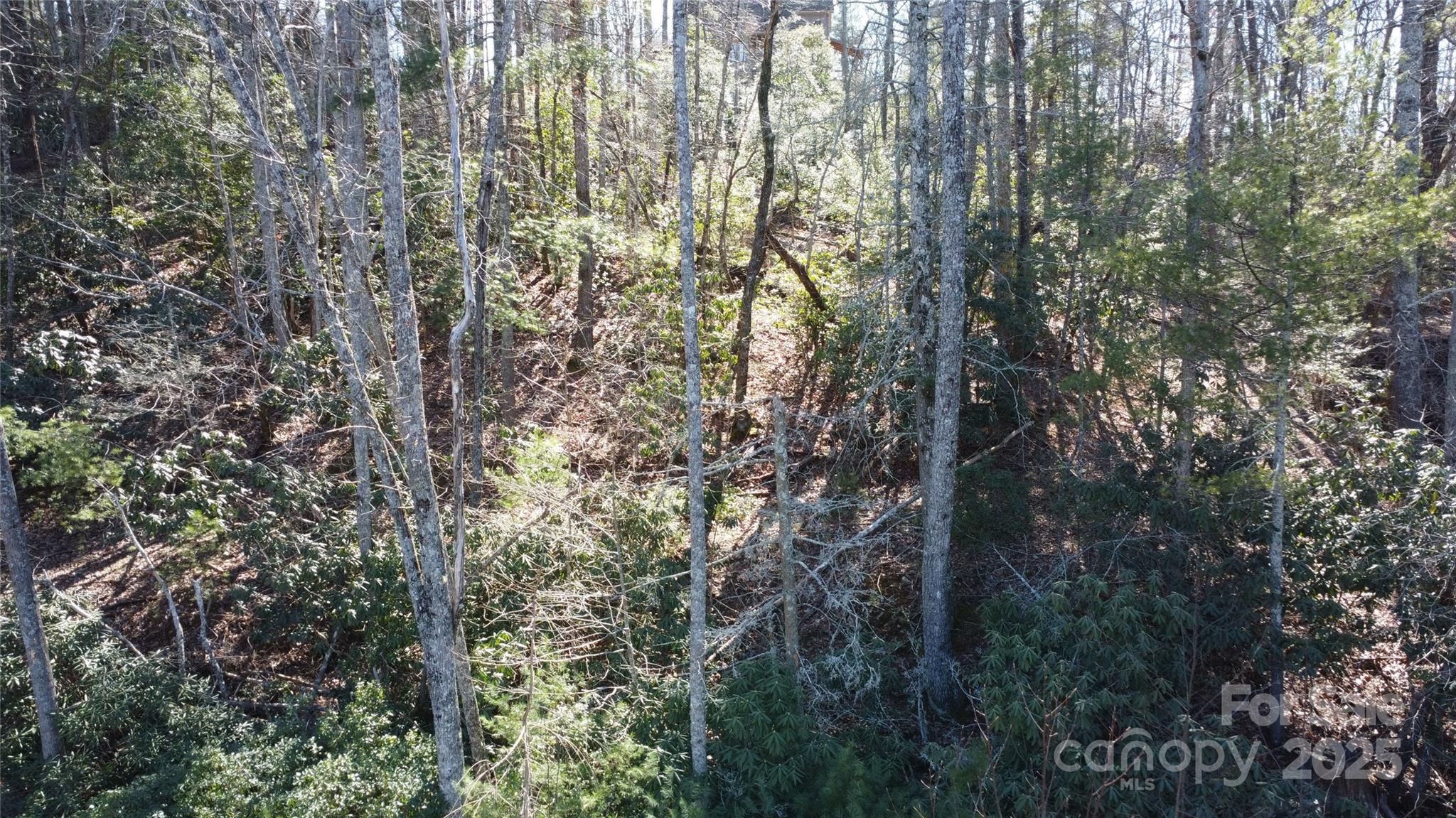 main property photo 11