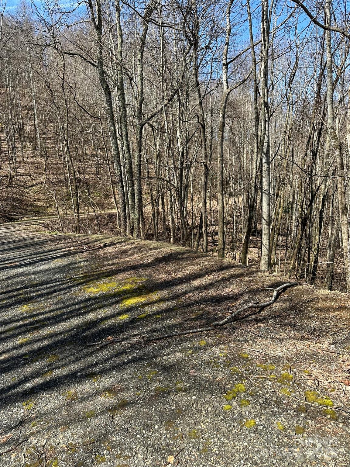 main property photo 16